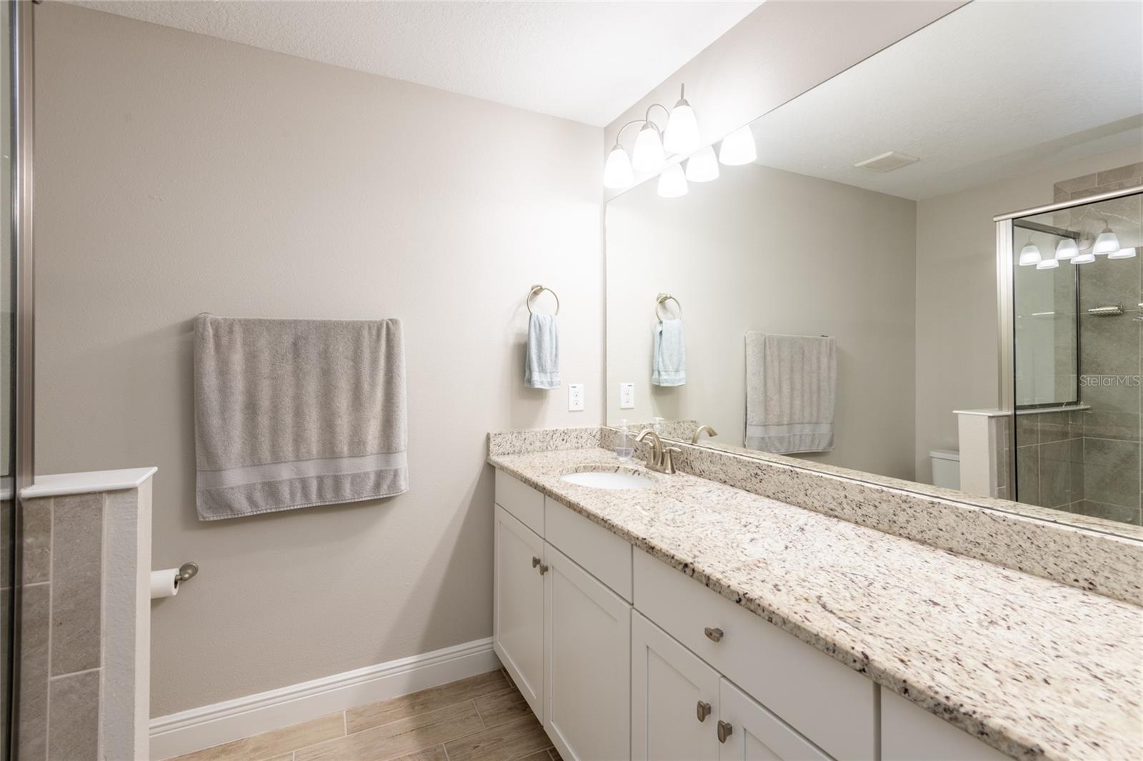 17847 ALTHEA BLUE PL — photo 22