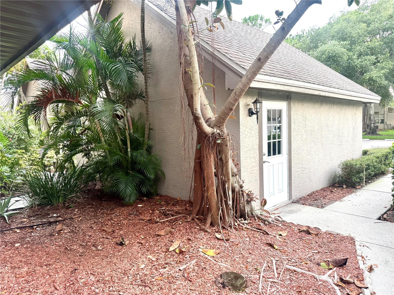 2800 COUNTRYSIDE BLVD #1 — photo 46