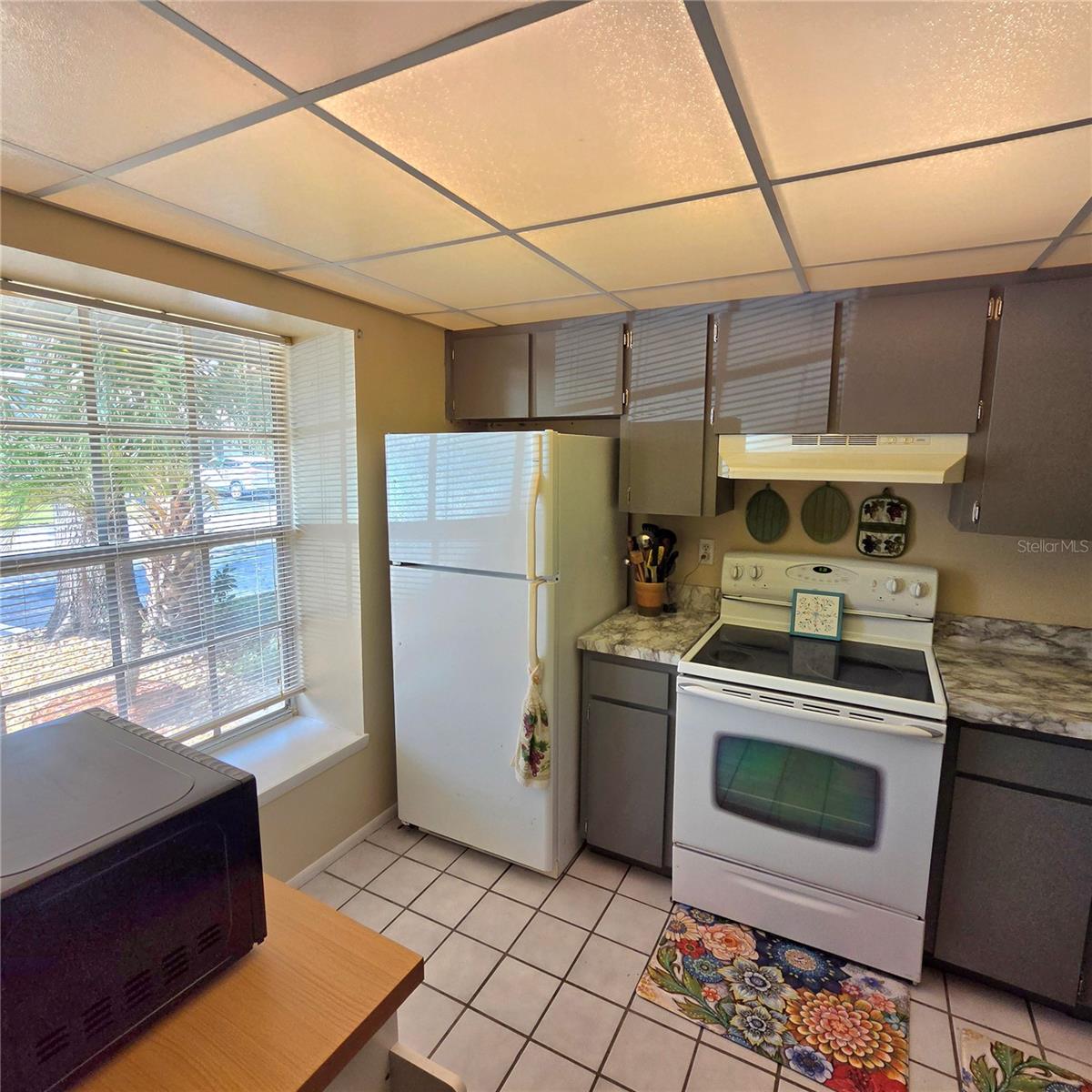 7249 PARKSIDE VILLAS DR N — photo 8