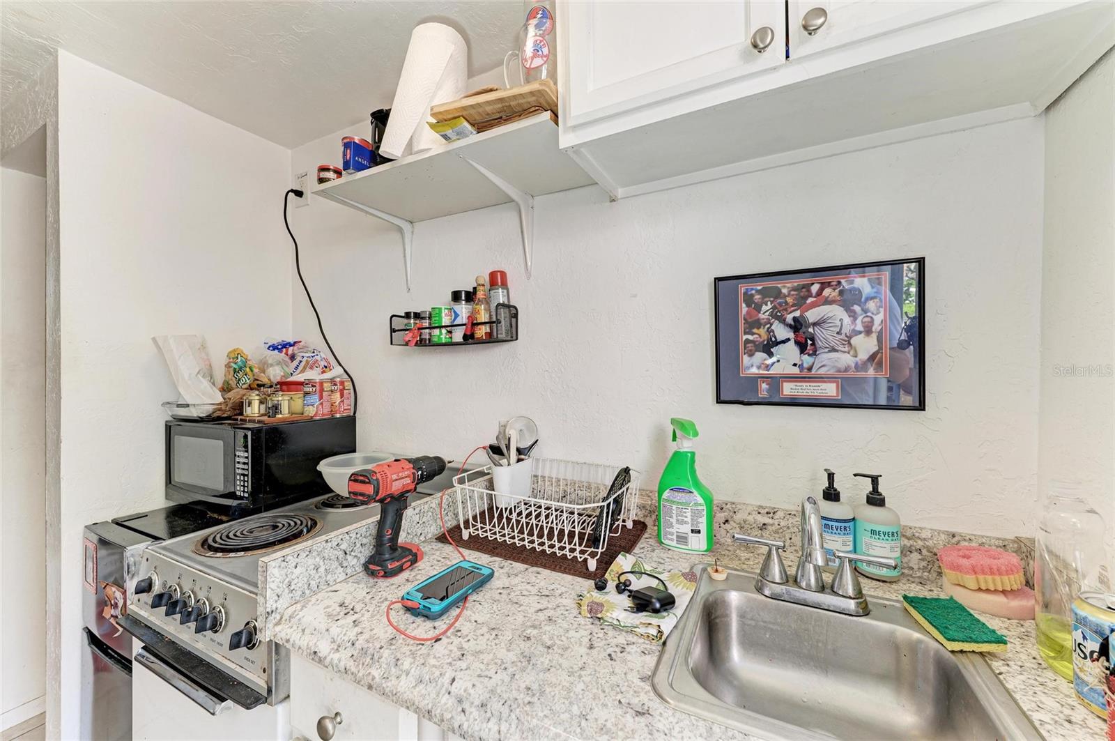 432 ADELIA AVE — photo 33