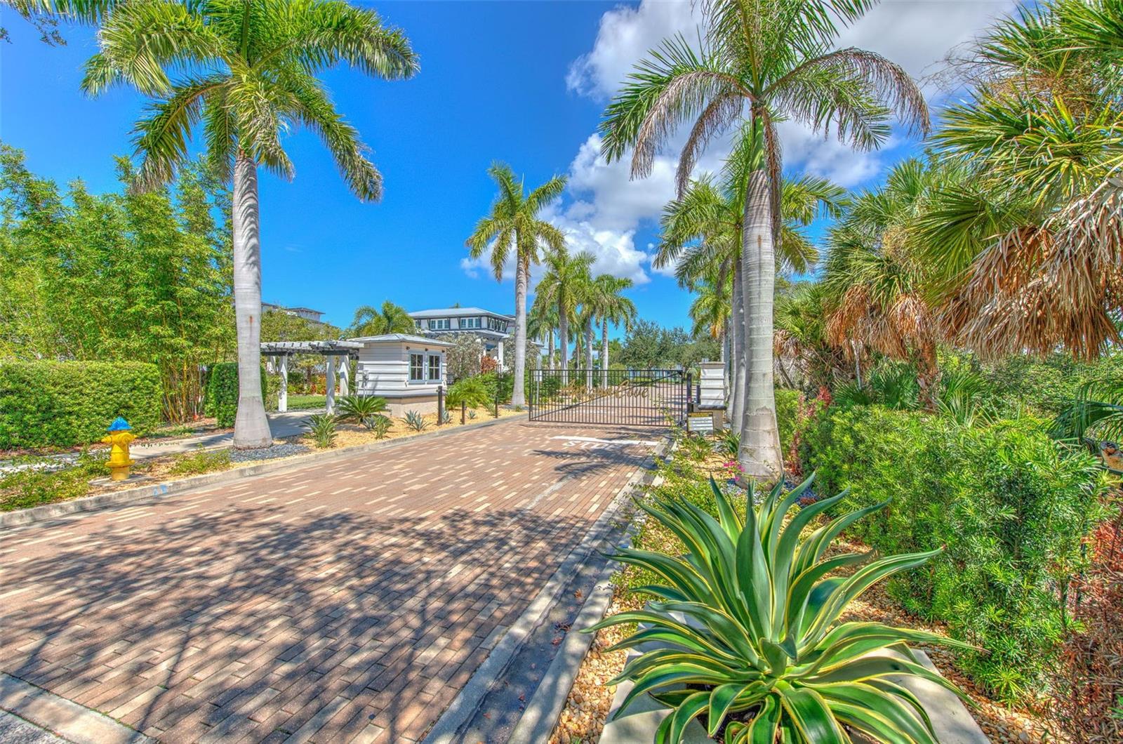 911 SEAGRAPE DR — photo 4