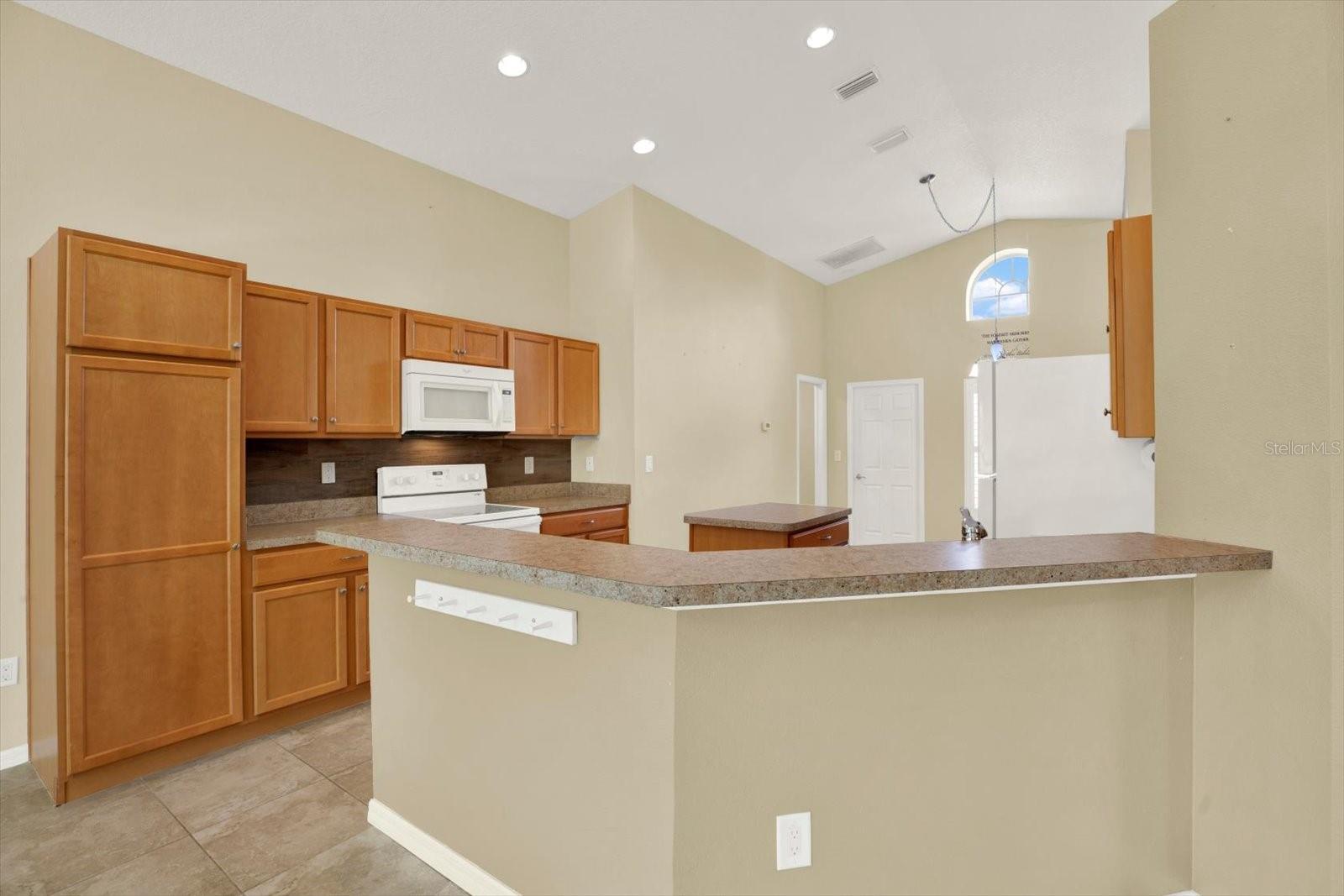 12922 PAYNE STEWART WAY — photo 10