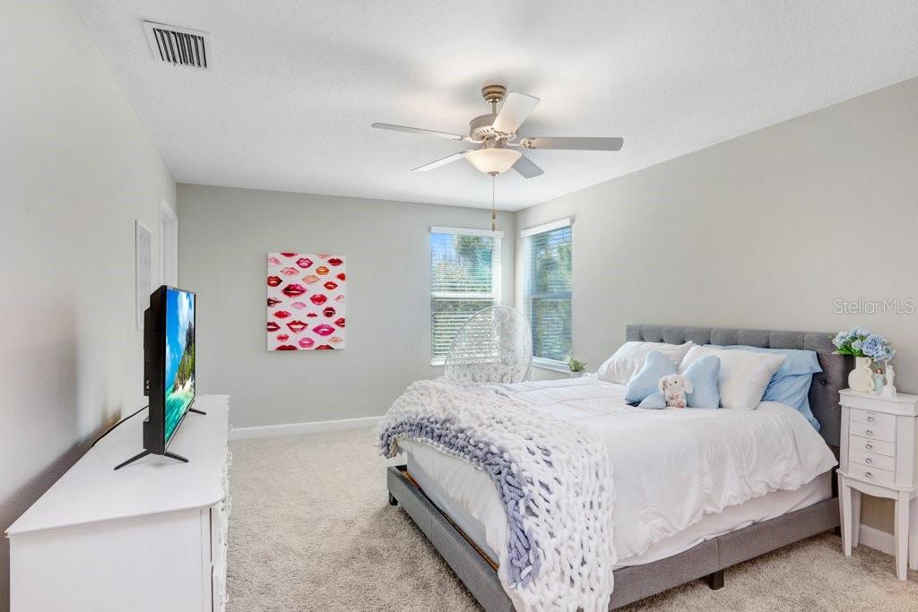 8721 SAVORY WALK DR — photo 47