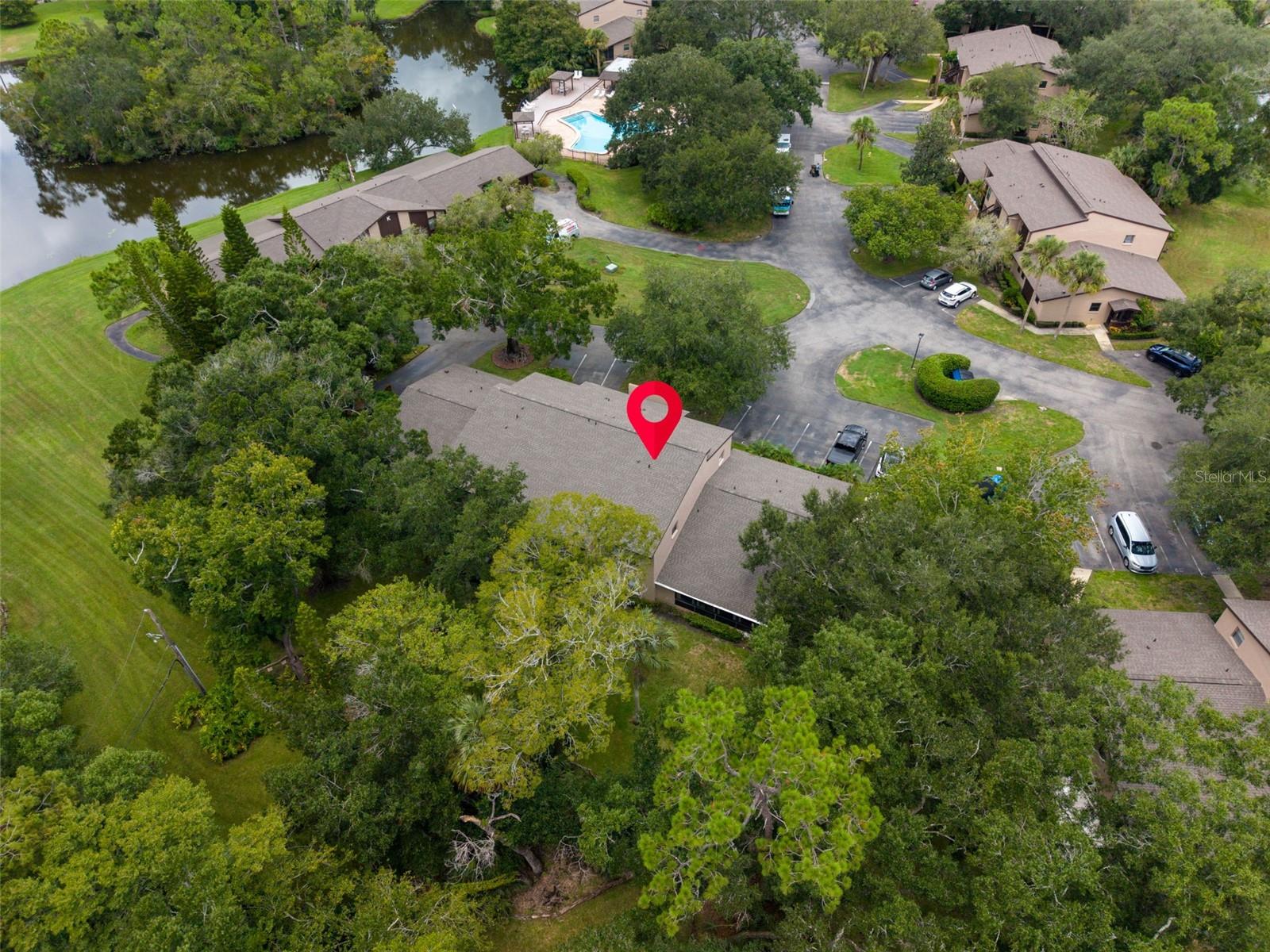 1400 TARPON WOODS BLVD #E6 — photo 37