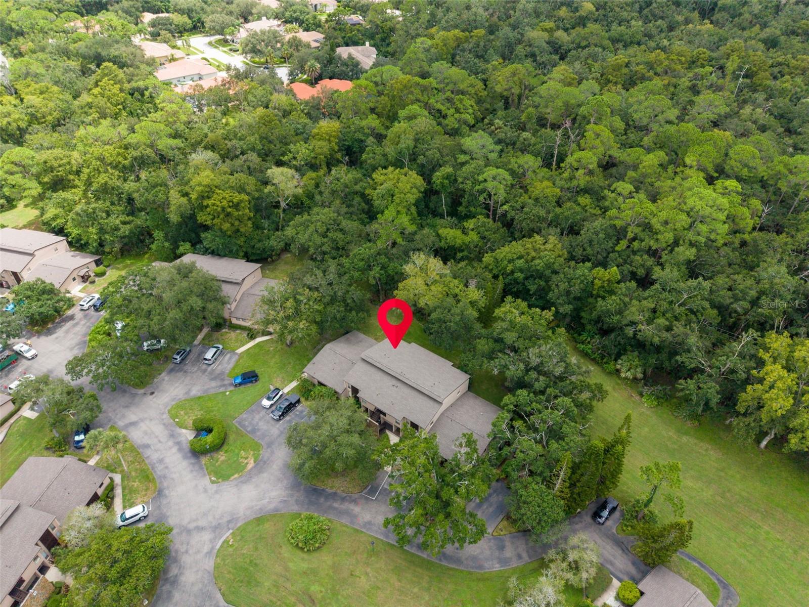 1400 TARPON WOODS BLVD #E6 — photo 41
