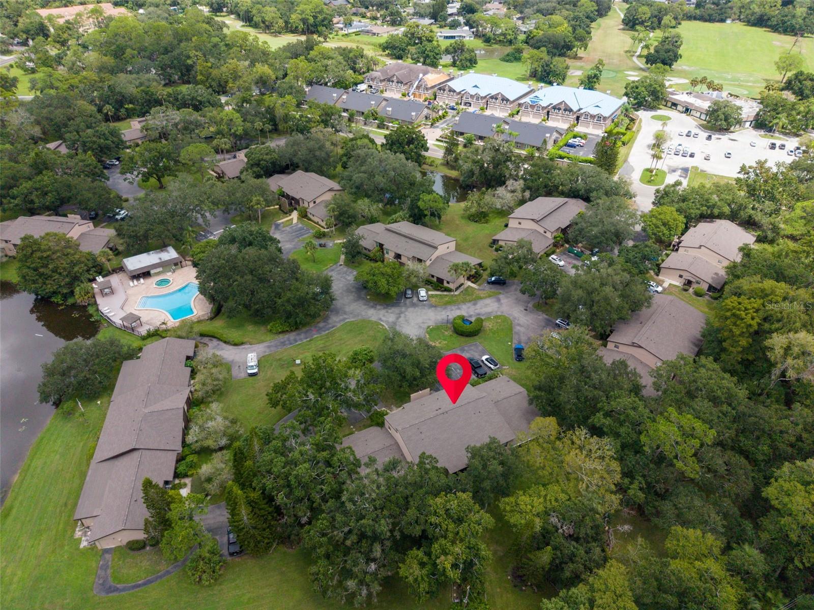 1400 TARPON WOODS BLVD #E6 — photo 39