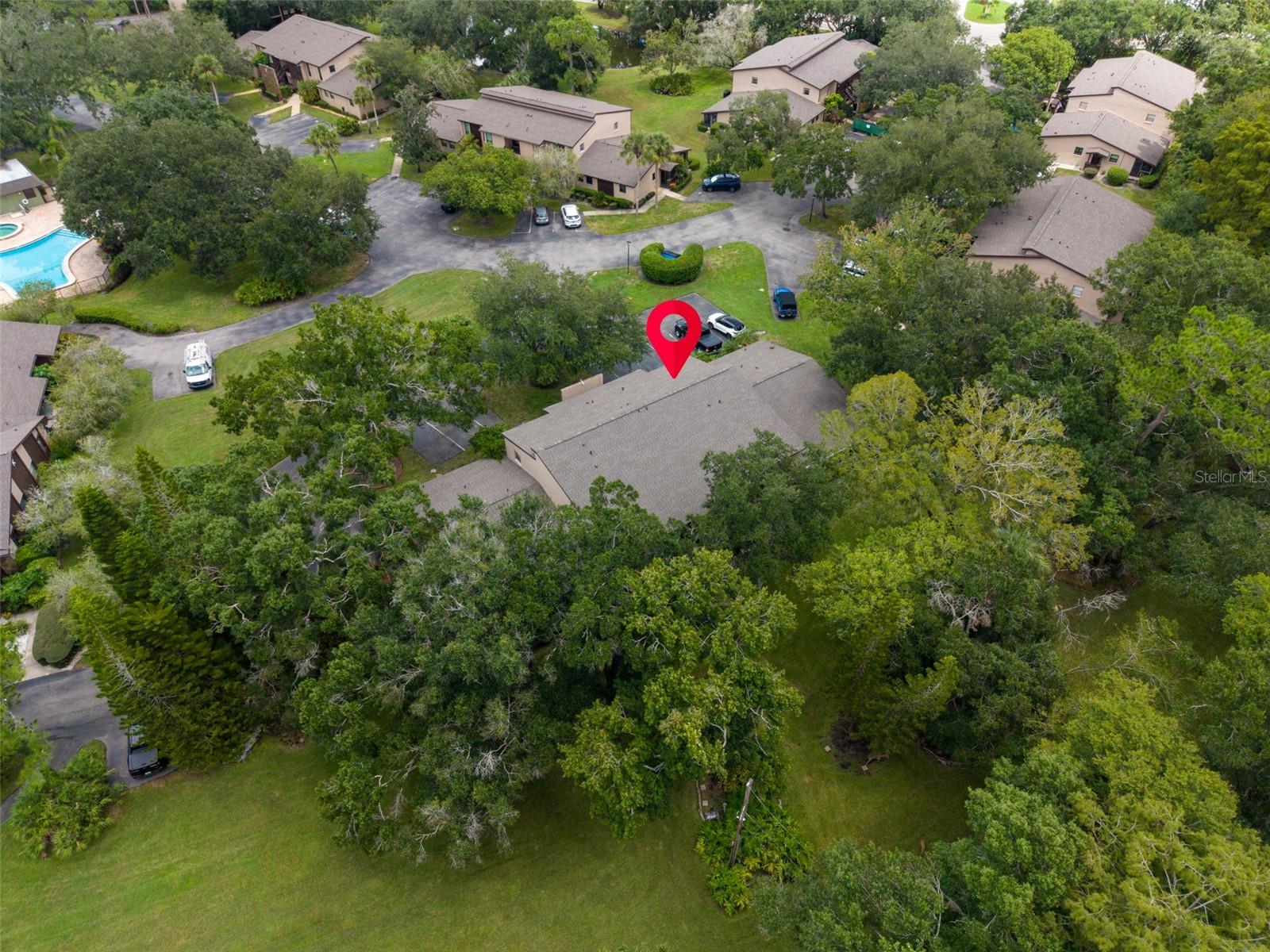 1400 TARPON WOODS BLVD #E6 — photo 38
