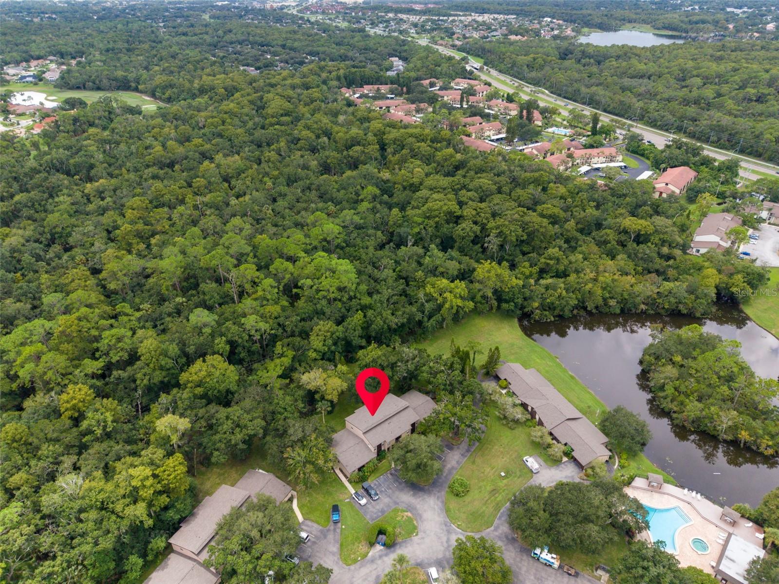 1400 TARPON WOODS BLVD #E6 — photo 43