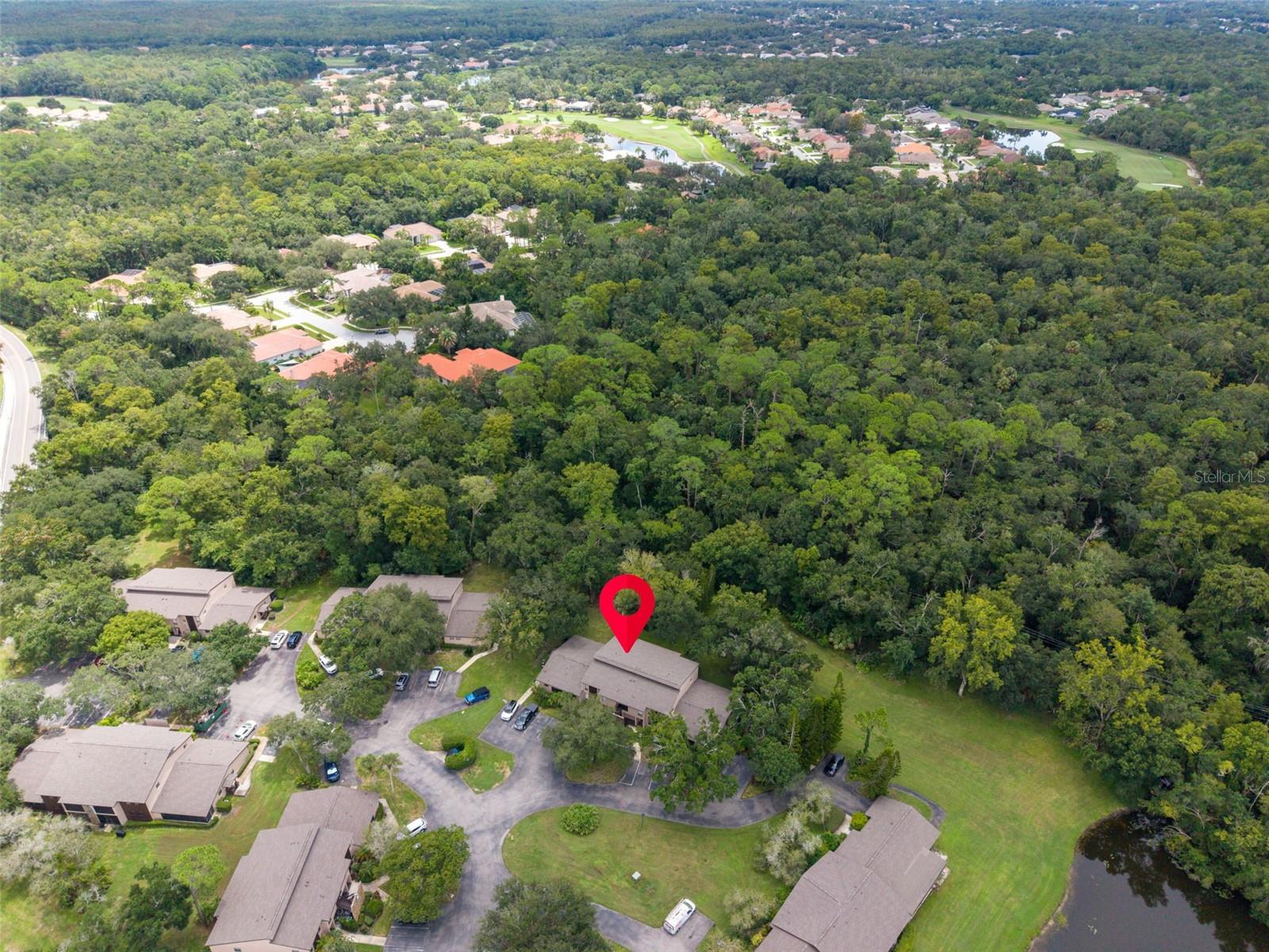 1400 TARPON WOODS BLVD #E6 — photo 44