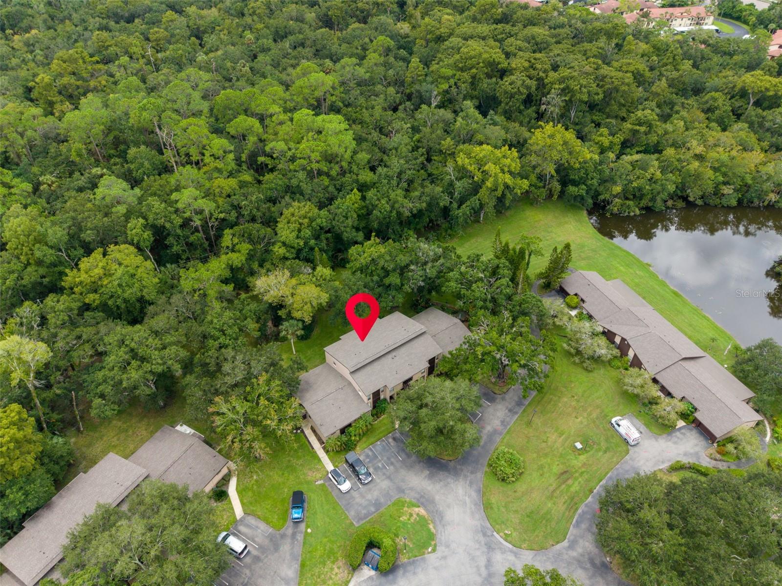 1400 TARPON WOODS BLVD #E6 — photo 42