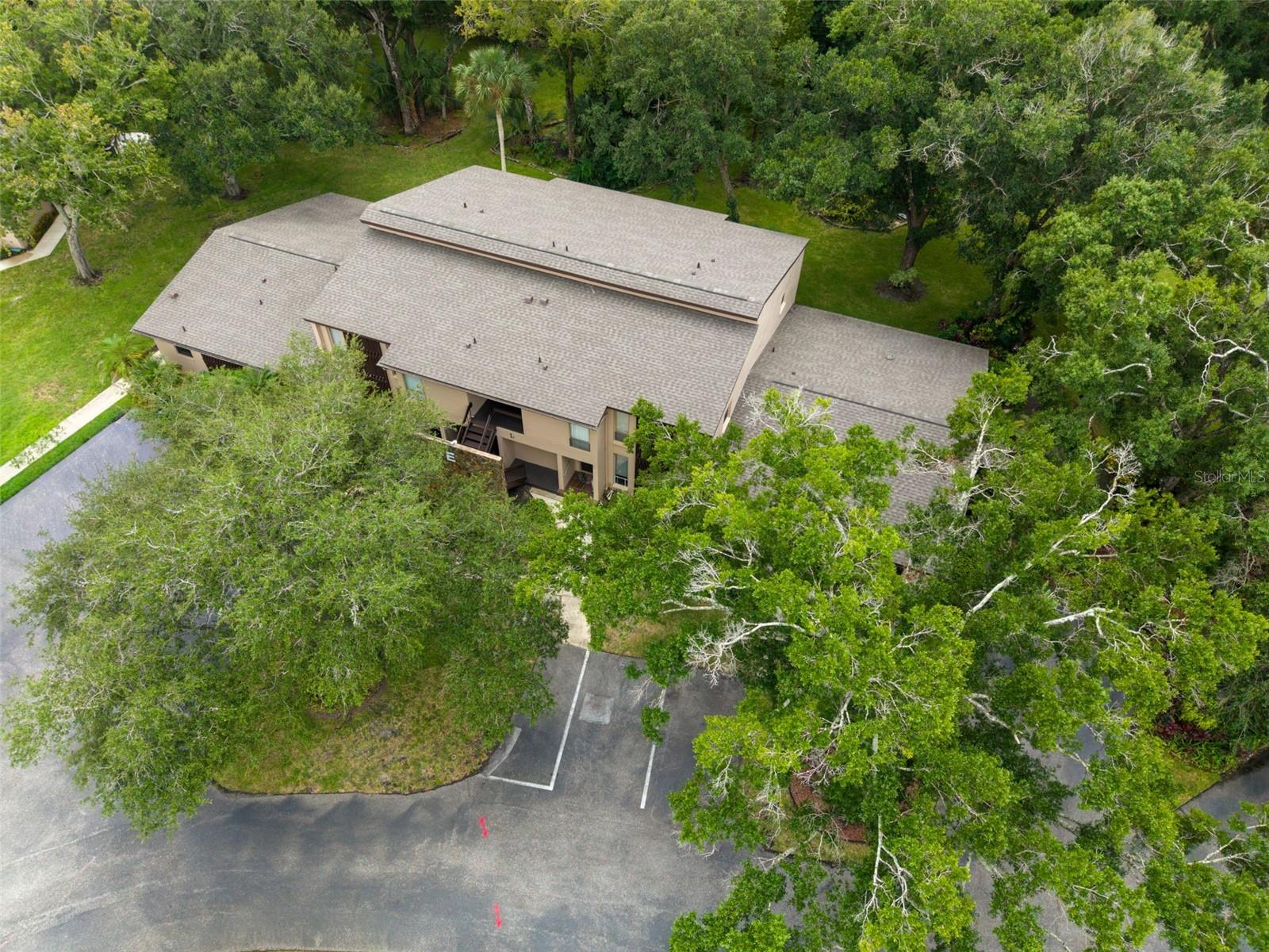 1400 TARPON WOODS BLVD #E6 — photo 36