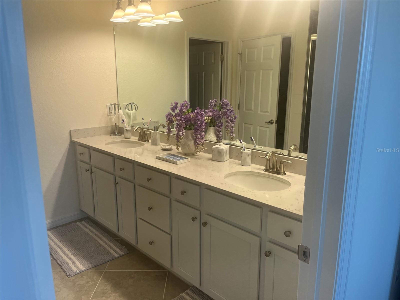 10054 CROOKED CREEK DR #202 — photo 17