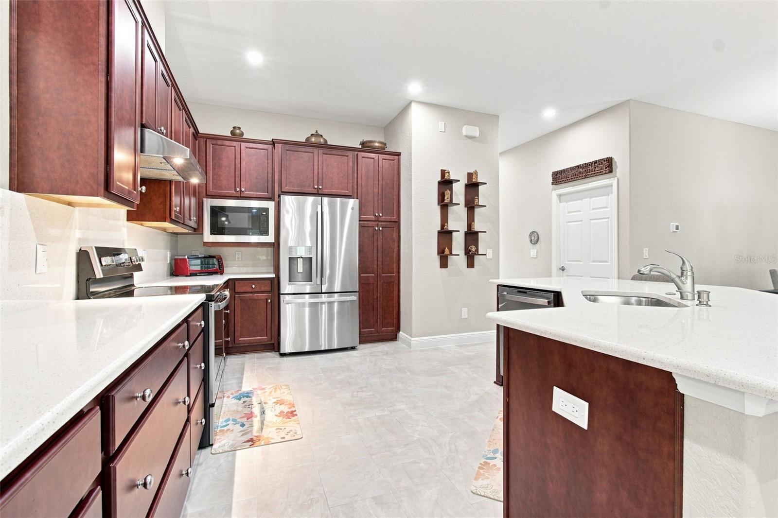 29817 ANAND VIHAR DR — photo 22