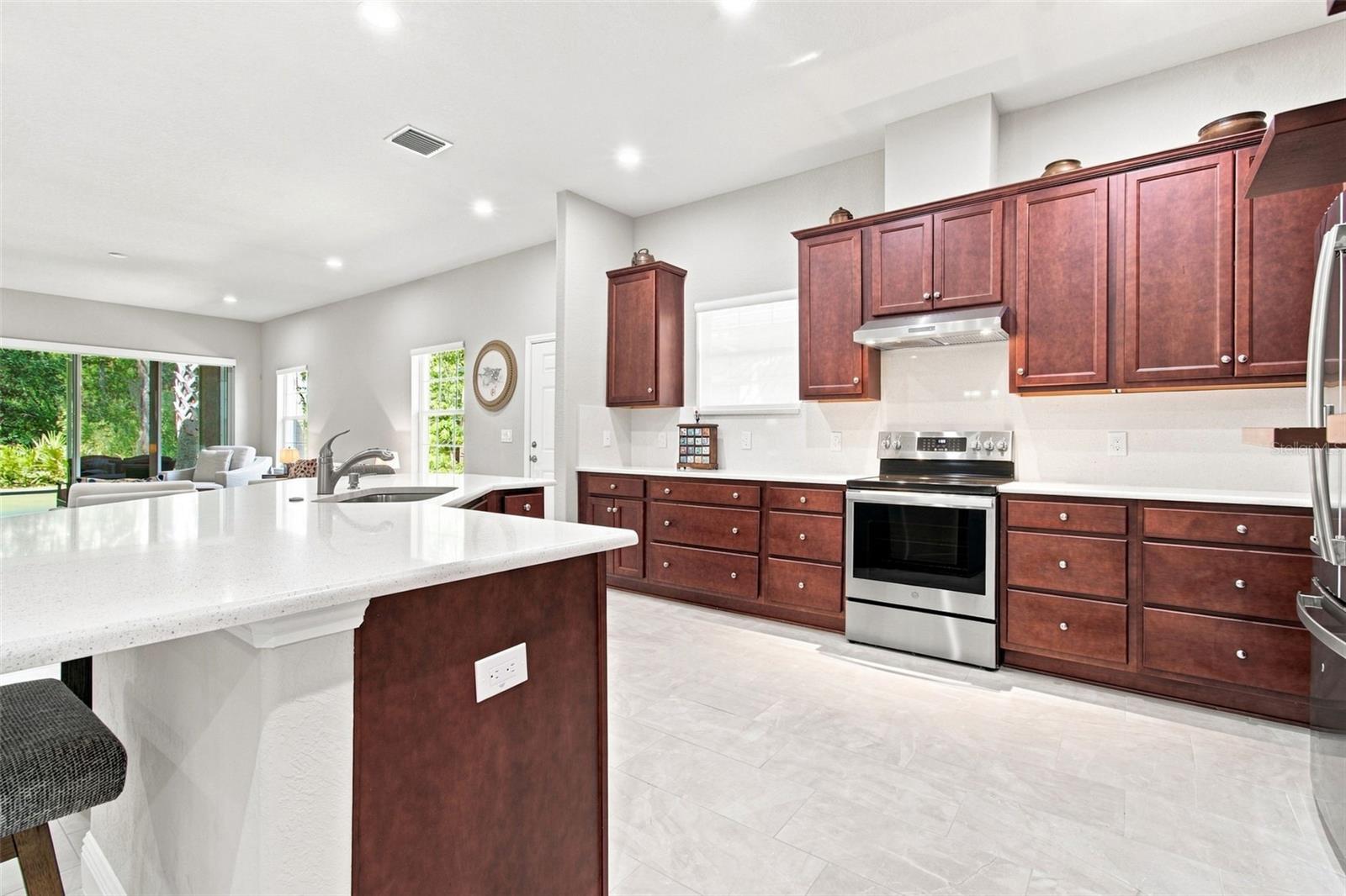 29817 ANAND VIHAR DR — photo 19