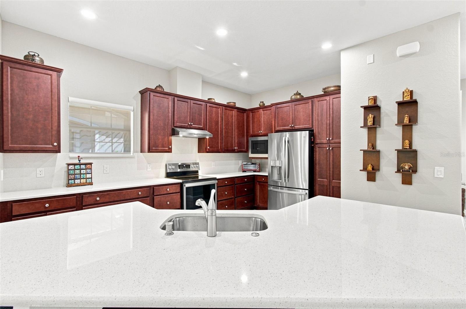 29817 ANAND VIHAR DR — photo 20