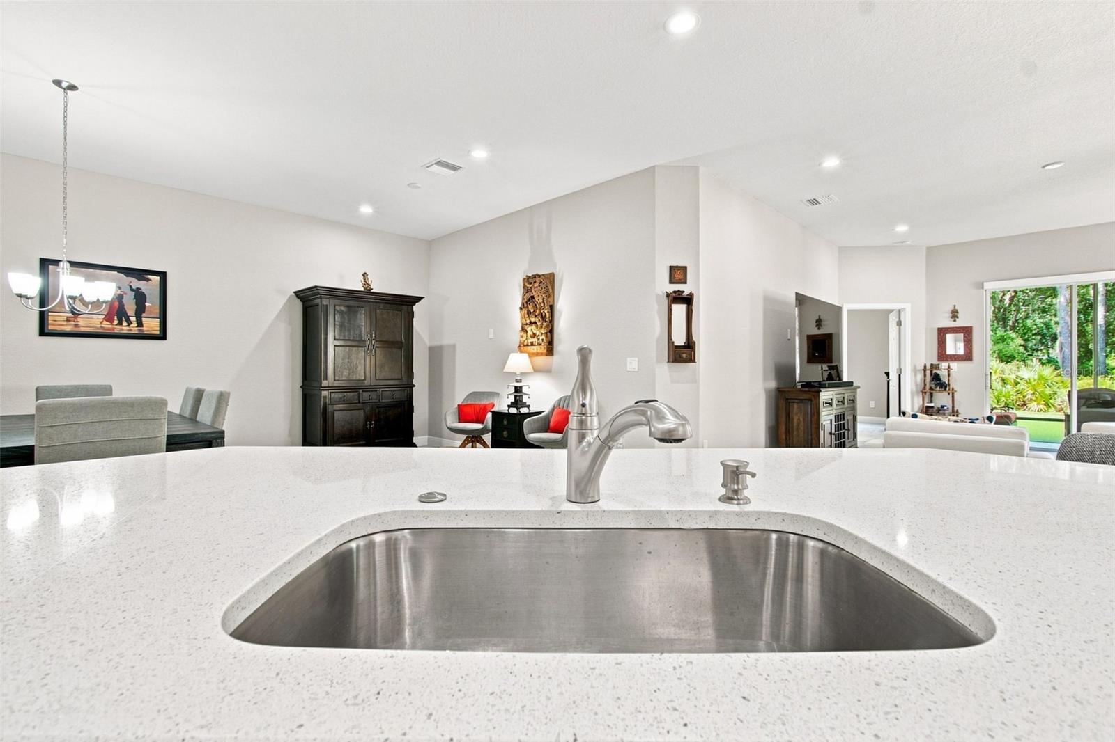 29817 ANAND VIHAR DR — photo 23