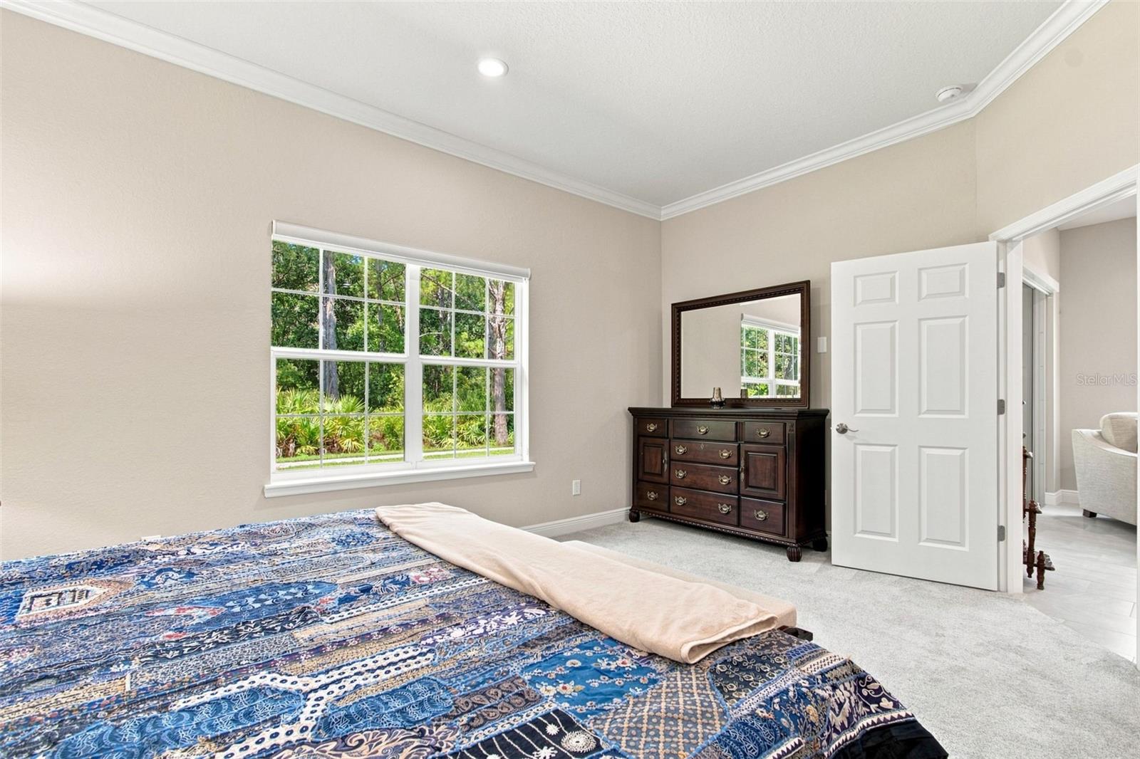 29817 ANAND VIHAR DR — photo 26