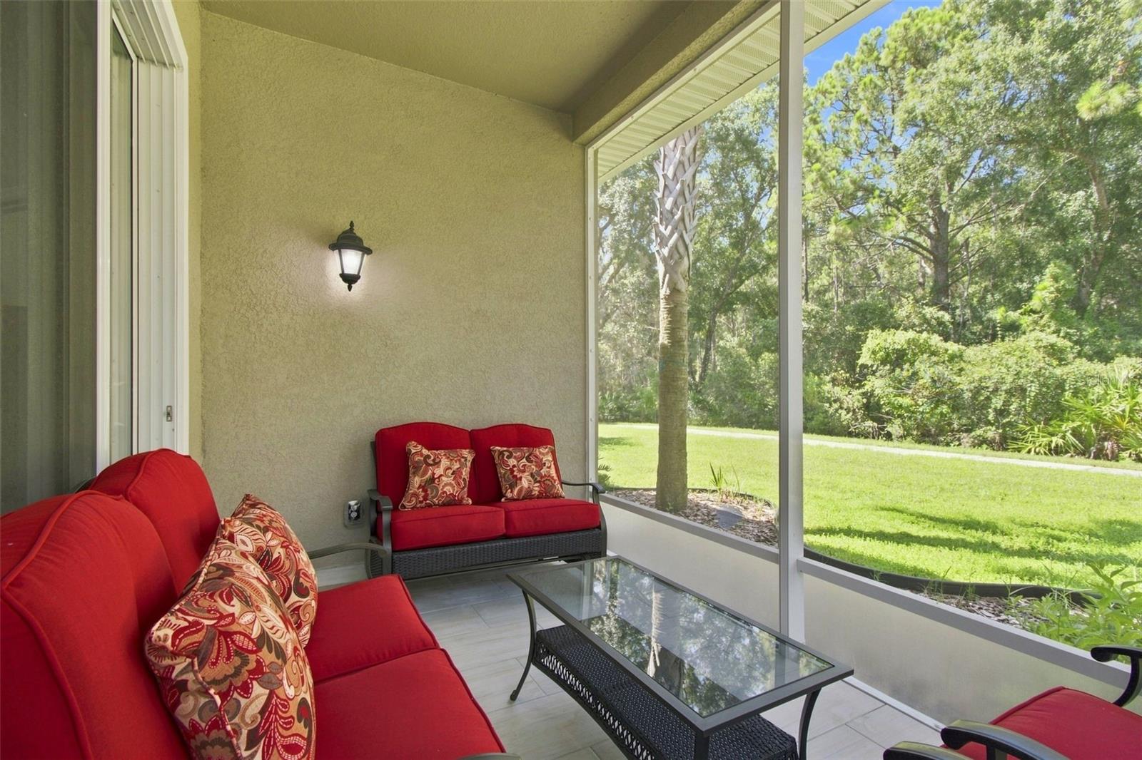 29817 ANAND VIHAR DR — photo 32