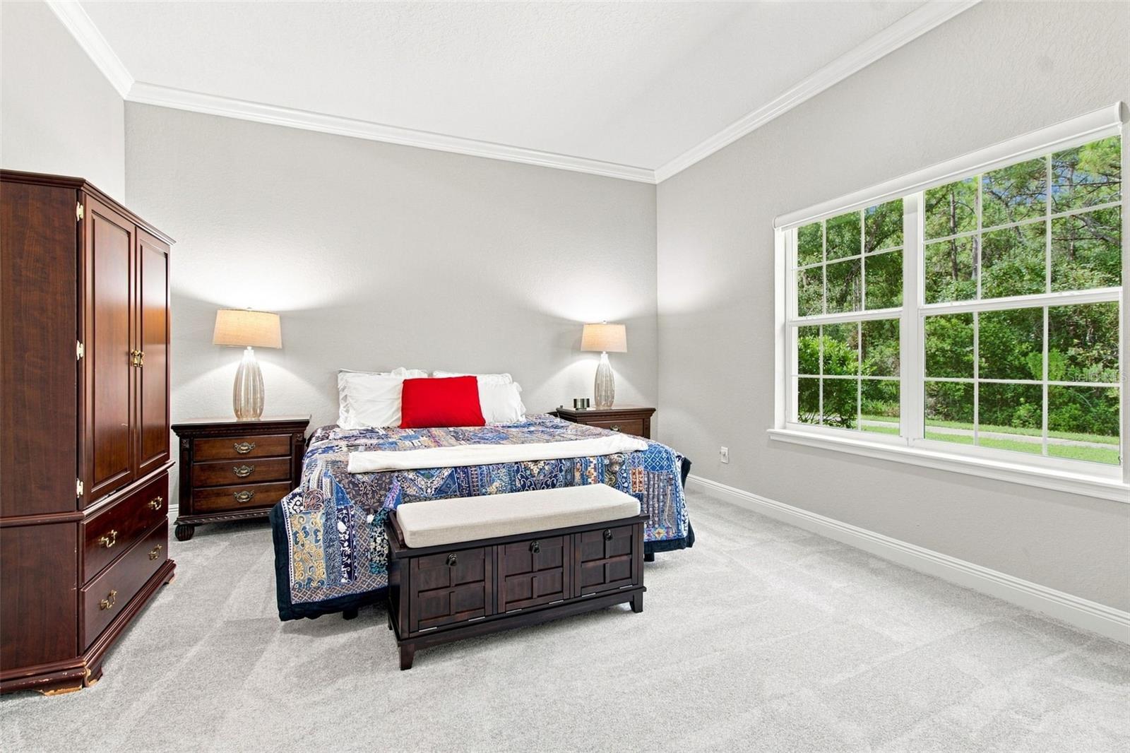 29817 ANAND VIHAR DR — photo 24