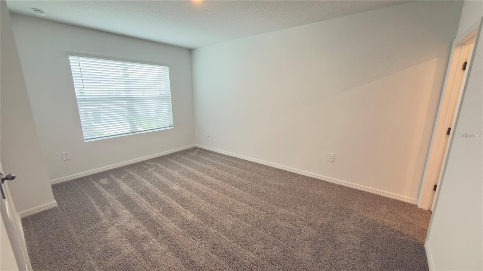 31211 MIDNIGHT SUN WAY — photo 16