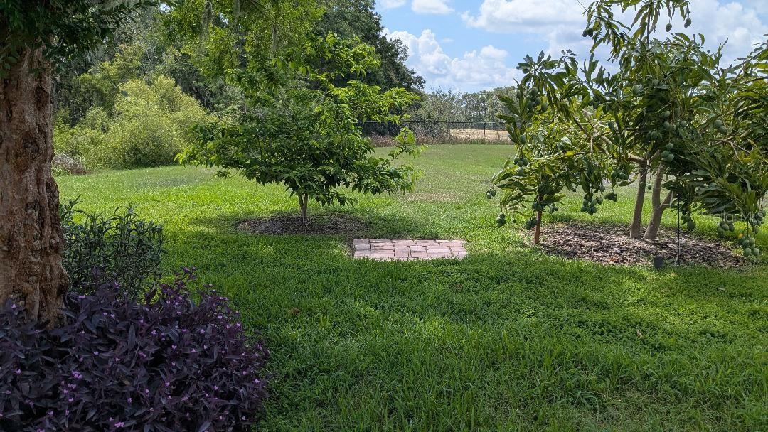1447 EMERALD HILL WAY — photo 50