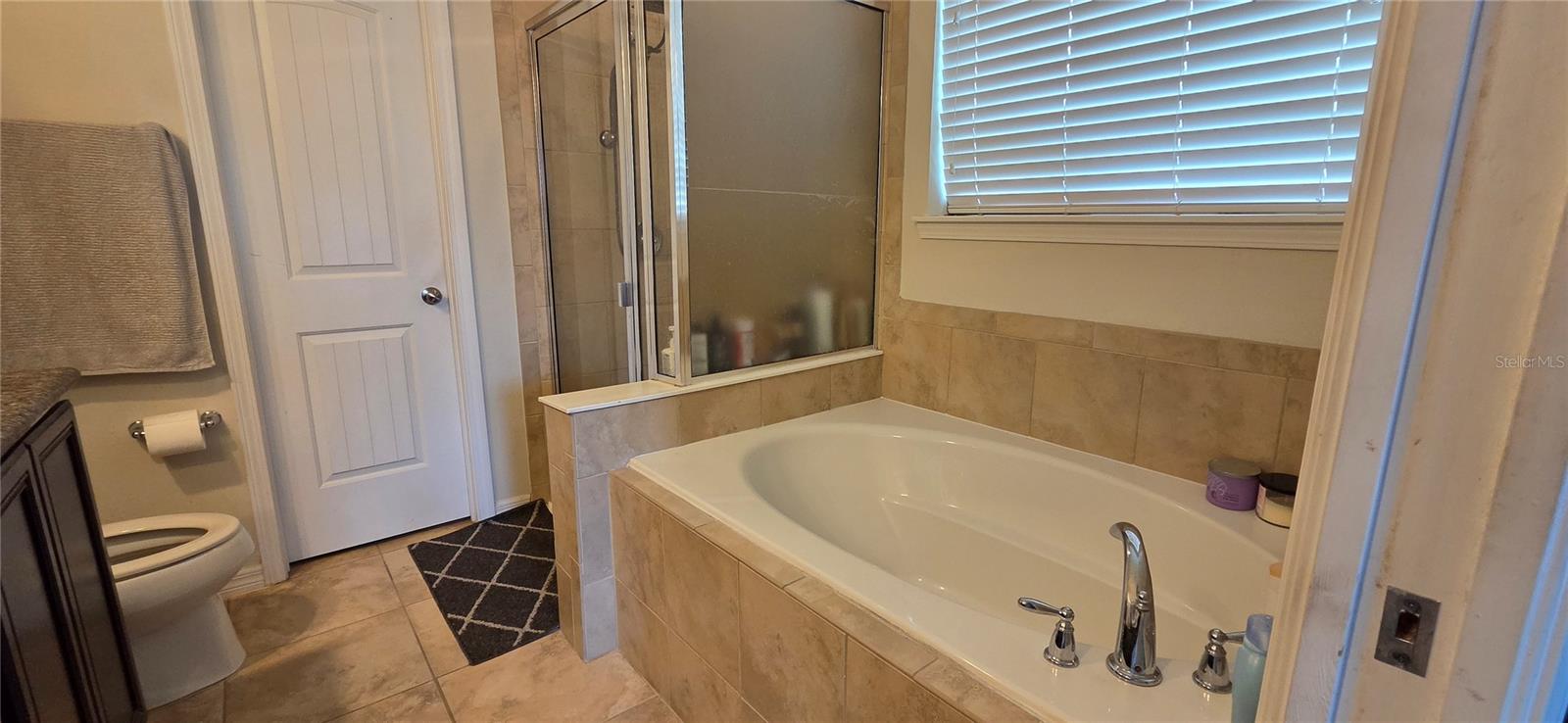 9215 MOUNTAIN MAGNOLIA DR — photo 8