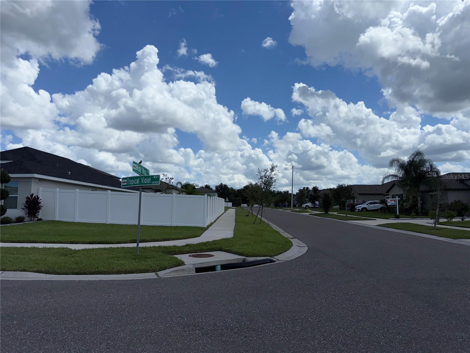 14921 TROPICAL VIOLET WAY — photo 28