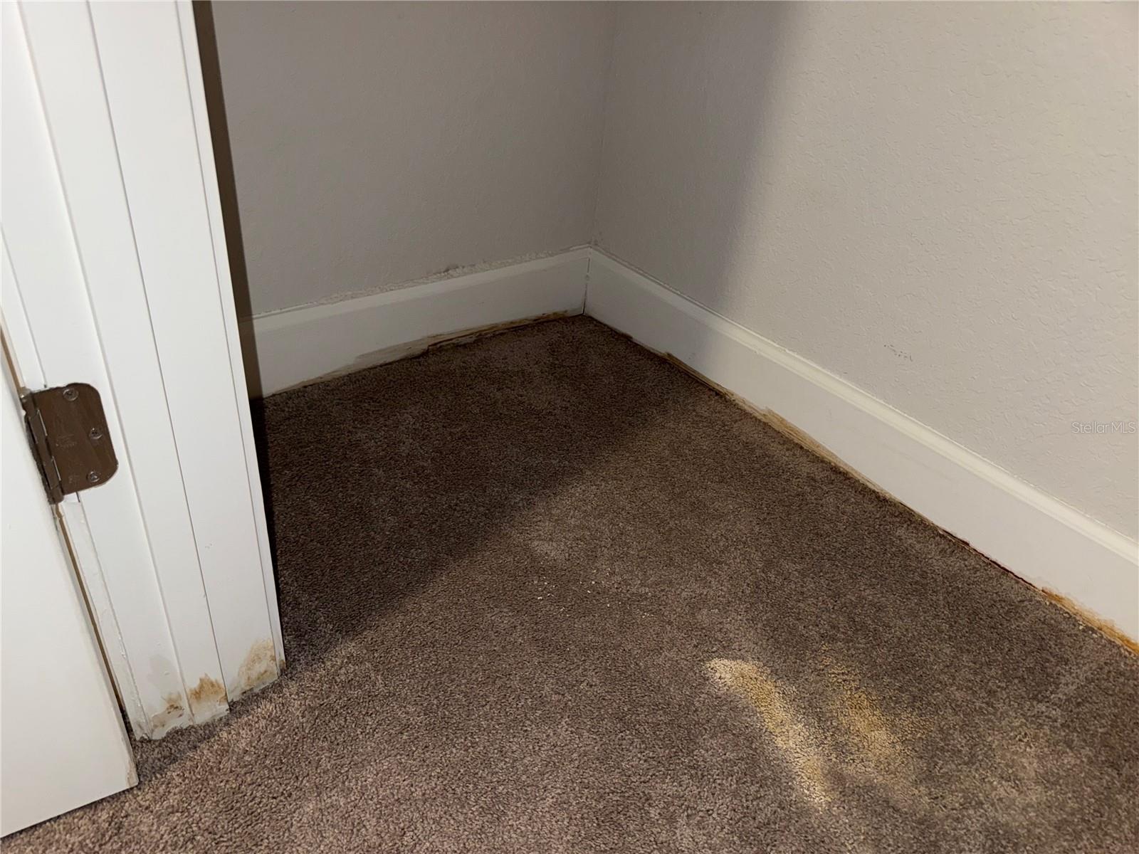 14921 TROPICAL VIOLET WAY — photo 13