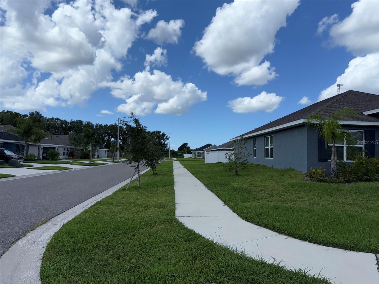 14921 TROPICAL VIOLET WAY — photo 29