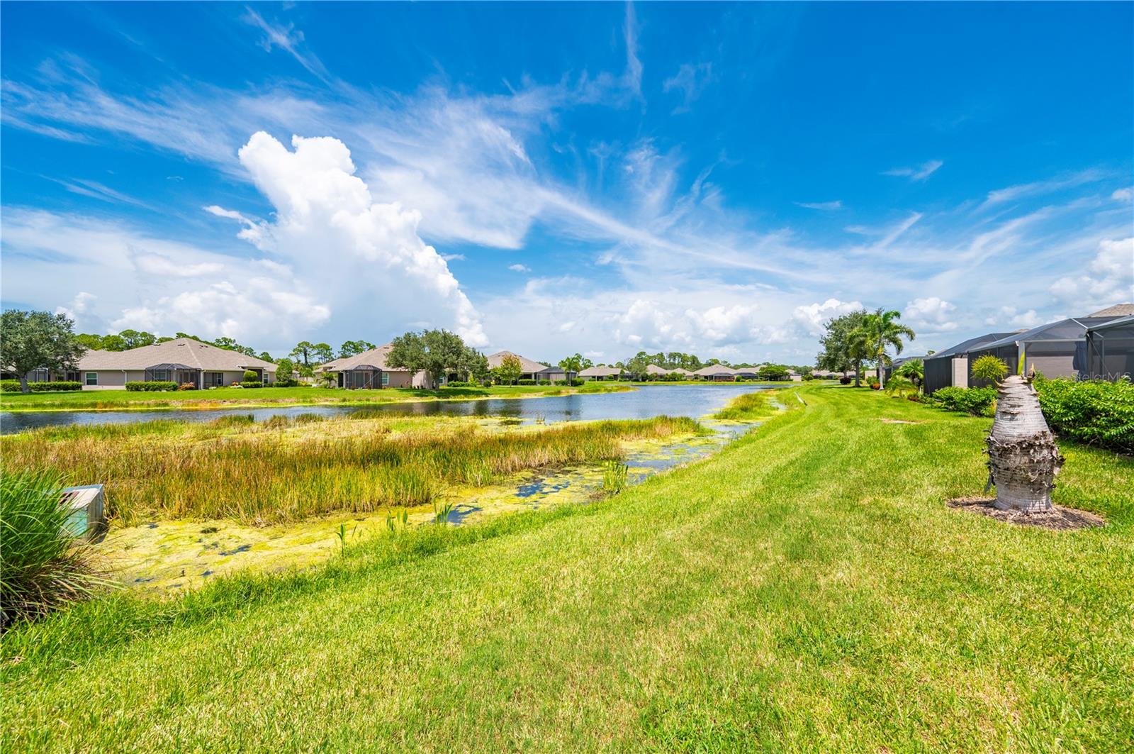 3541 LAKEWOOD BLVD — photo 46