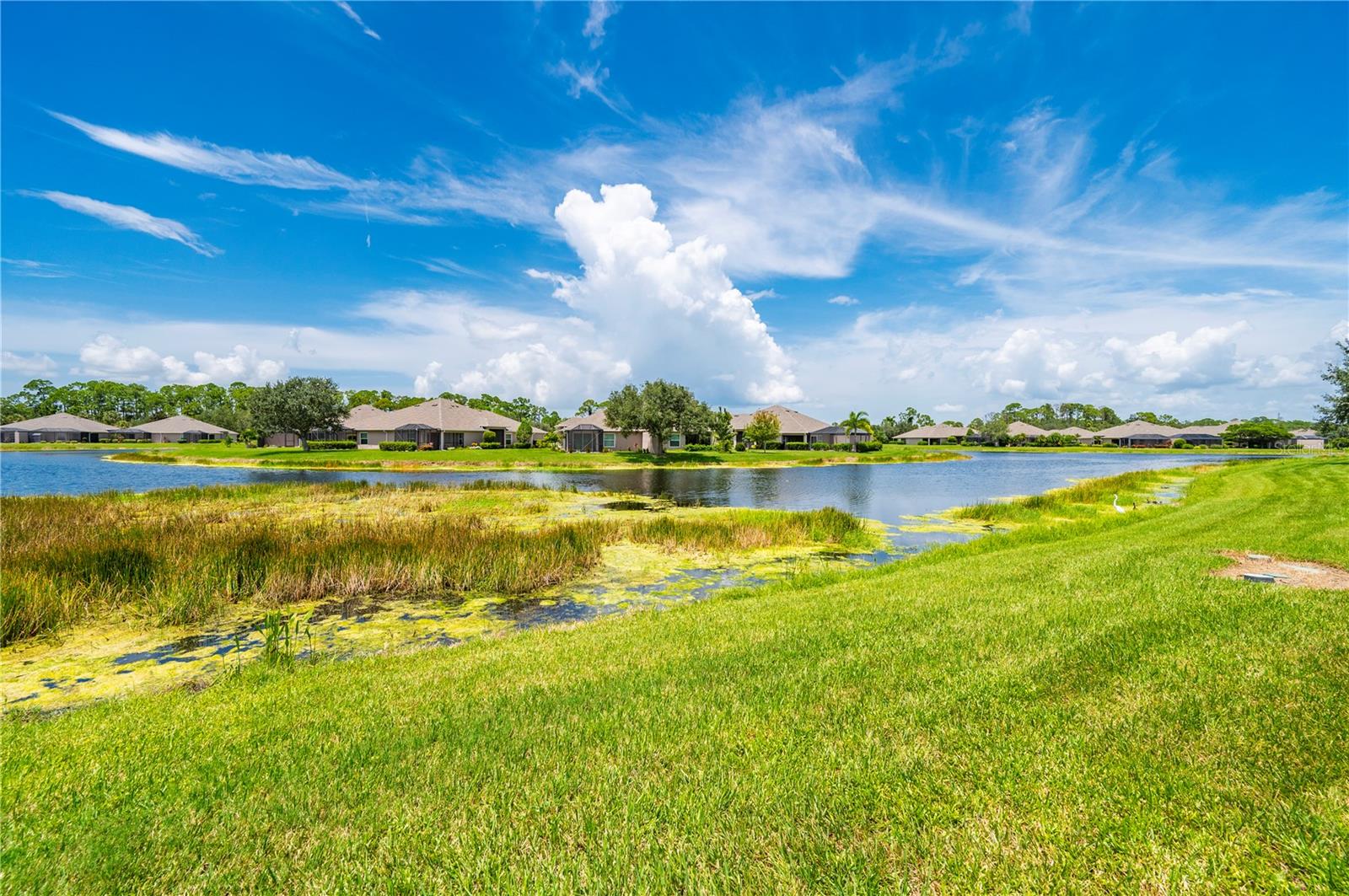 3541 LAKEWOOD BLVD — photo 44