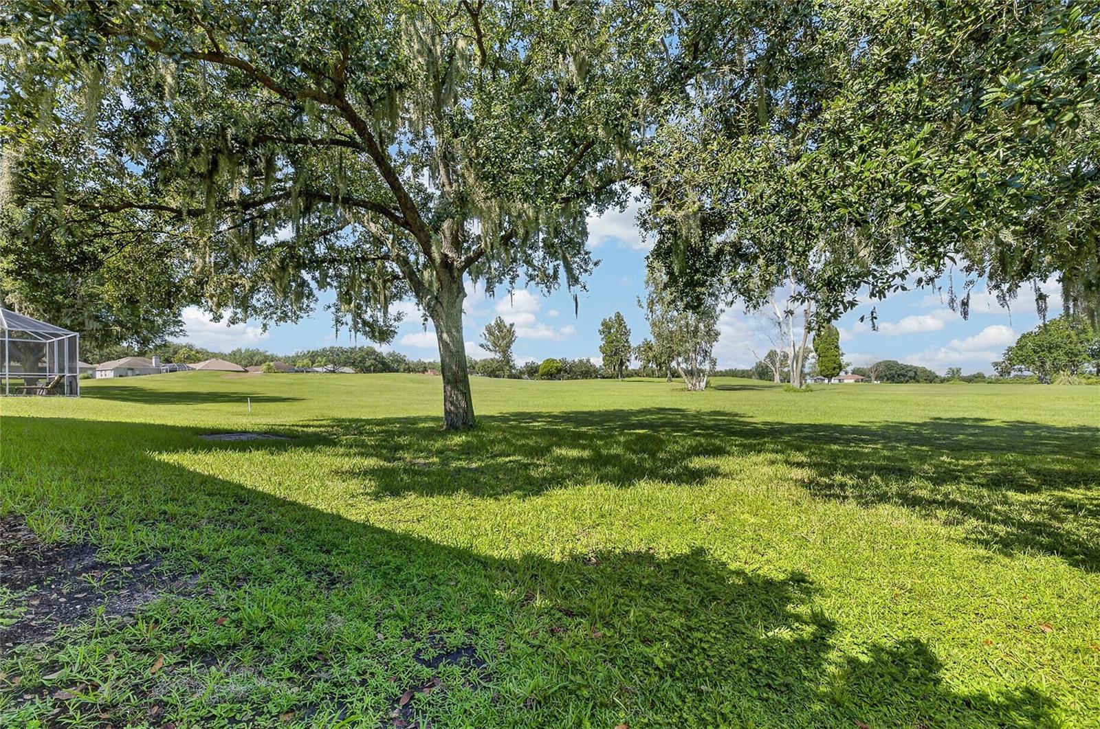 1438 EMERALD HILL WAY — photo 36