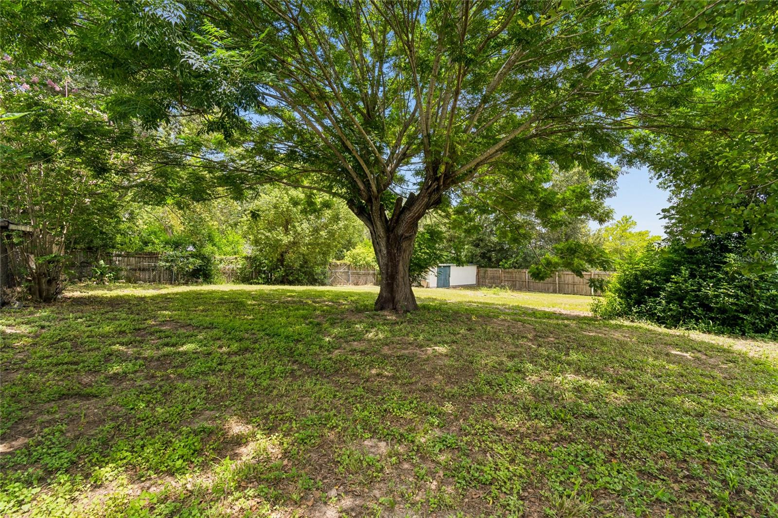 37913 WICKLOW AVE — photo 66