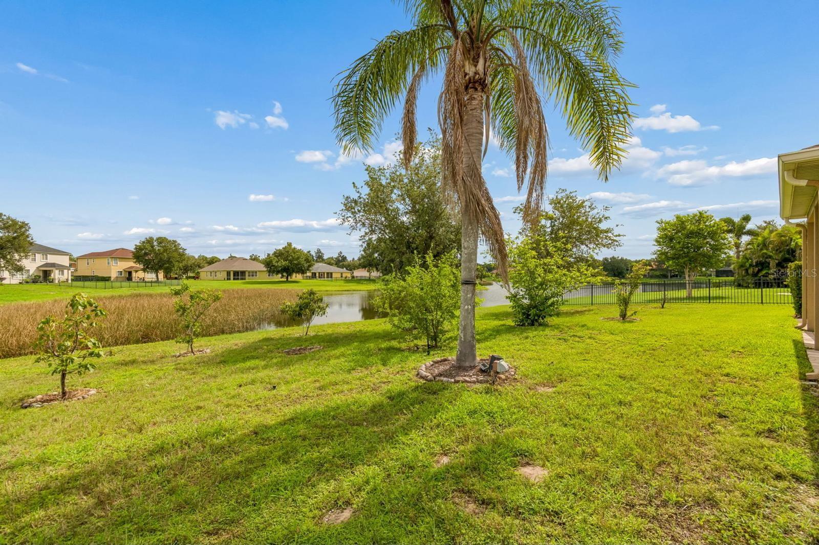 5406 SANDY SHELL DR — photo 4