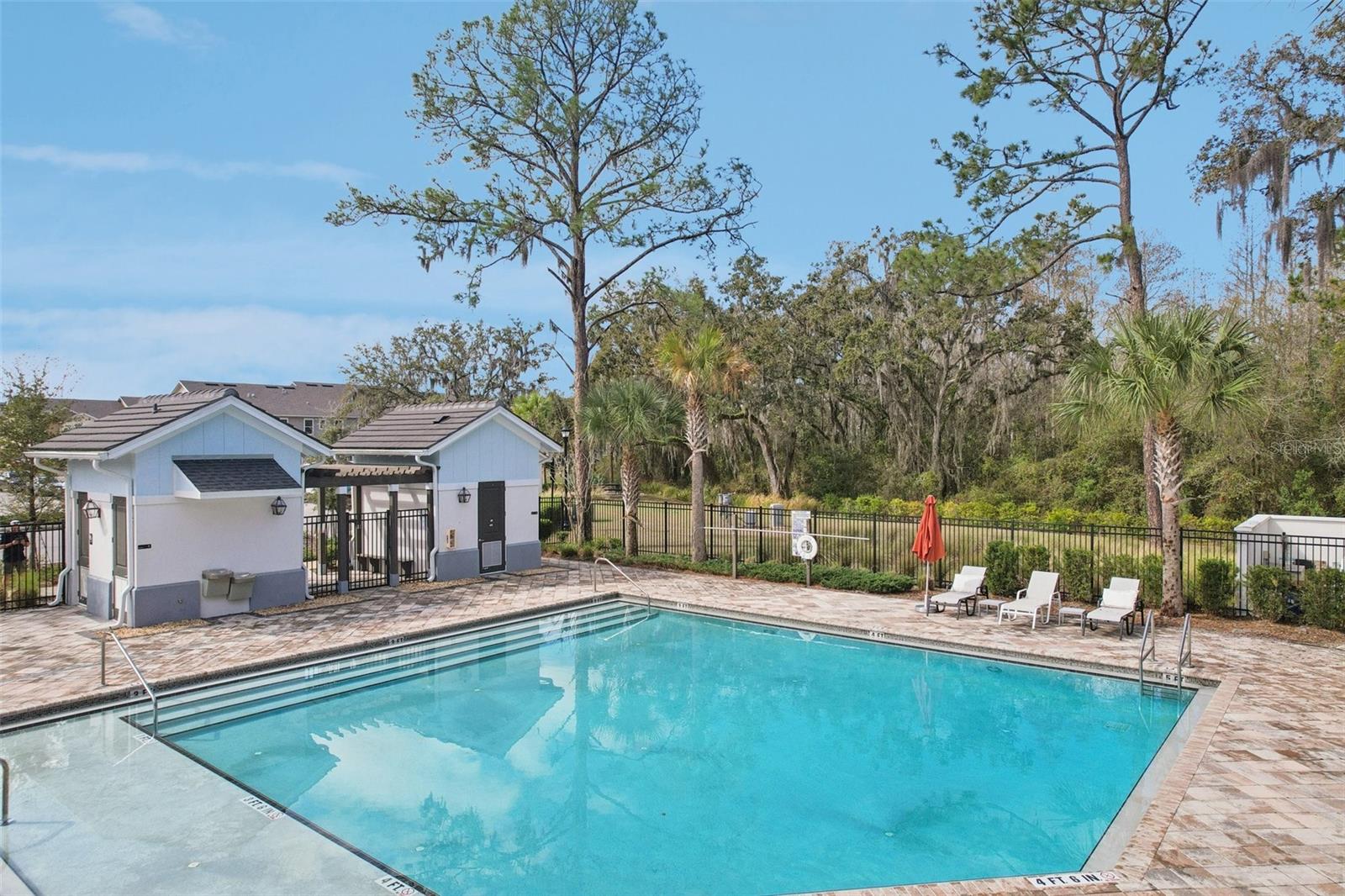 34162 ROGALLO LN — photo 31