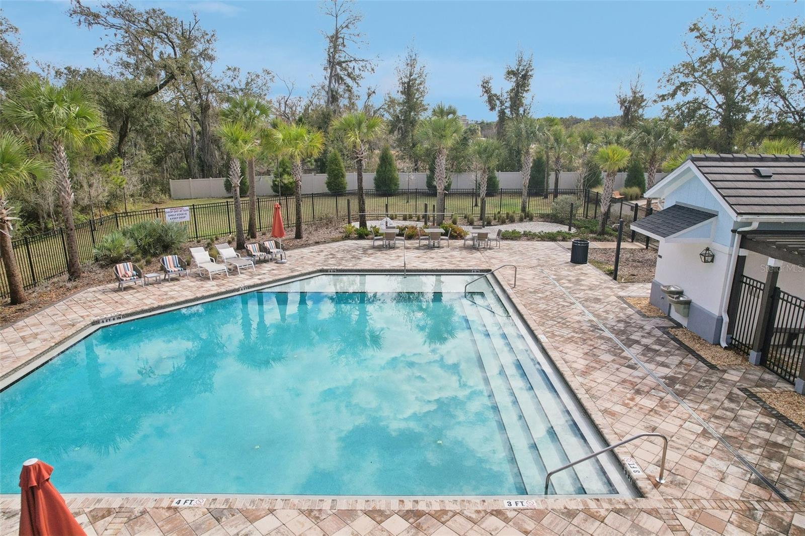 34162 ROGALLO LN — photo 30