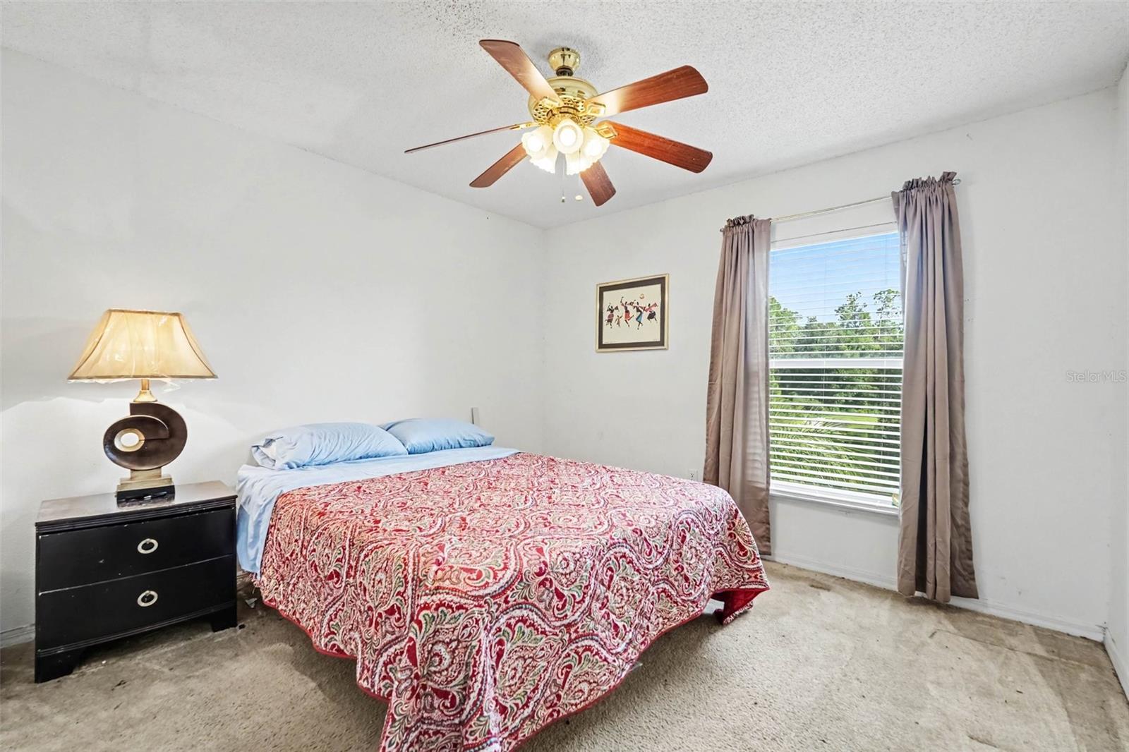 30346 RATTANA CT — photo 20