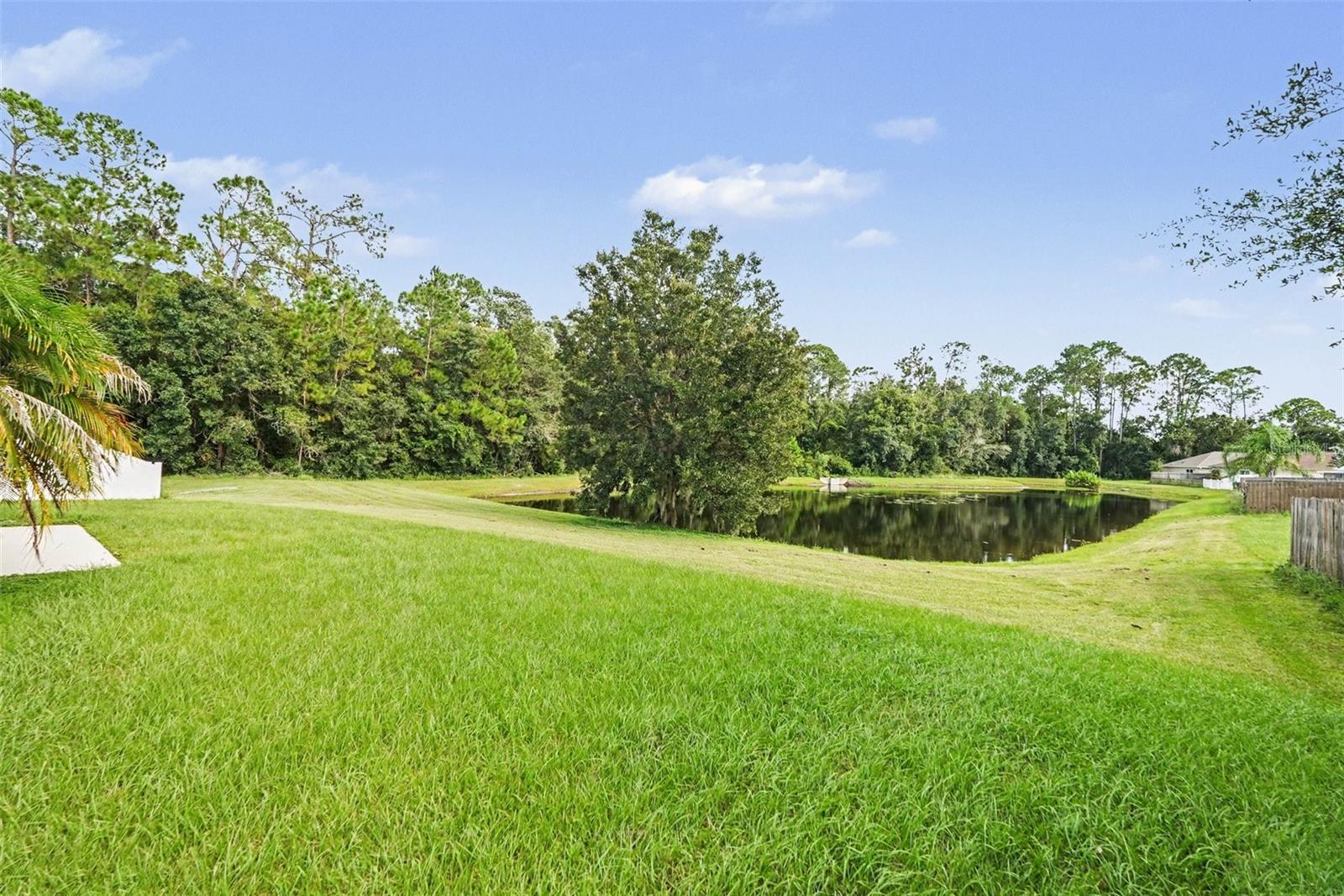 30346 RATTANA CT — photo 26