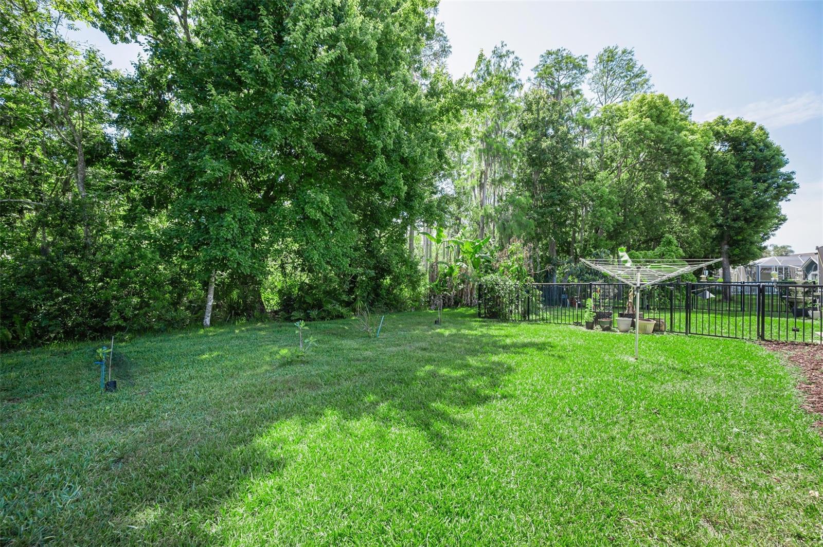 1234 ARLINBROOK DR — photo 50