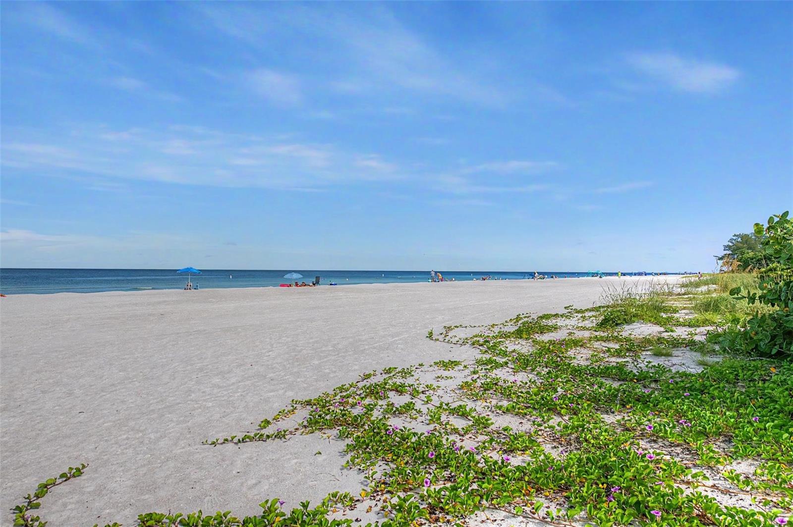 2110 GULF BLVD #6 — photo 40