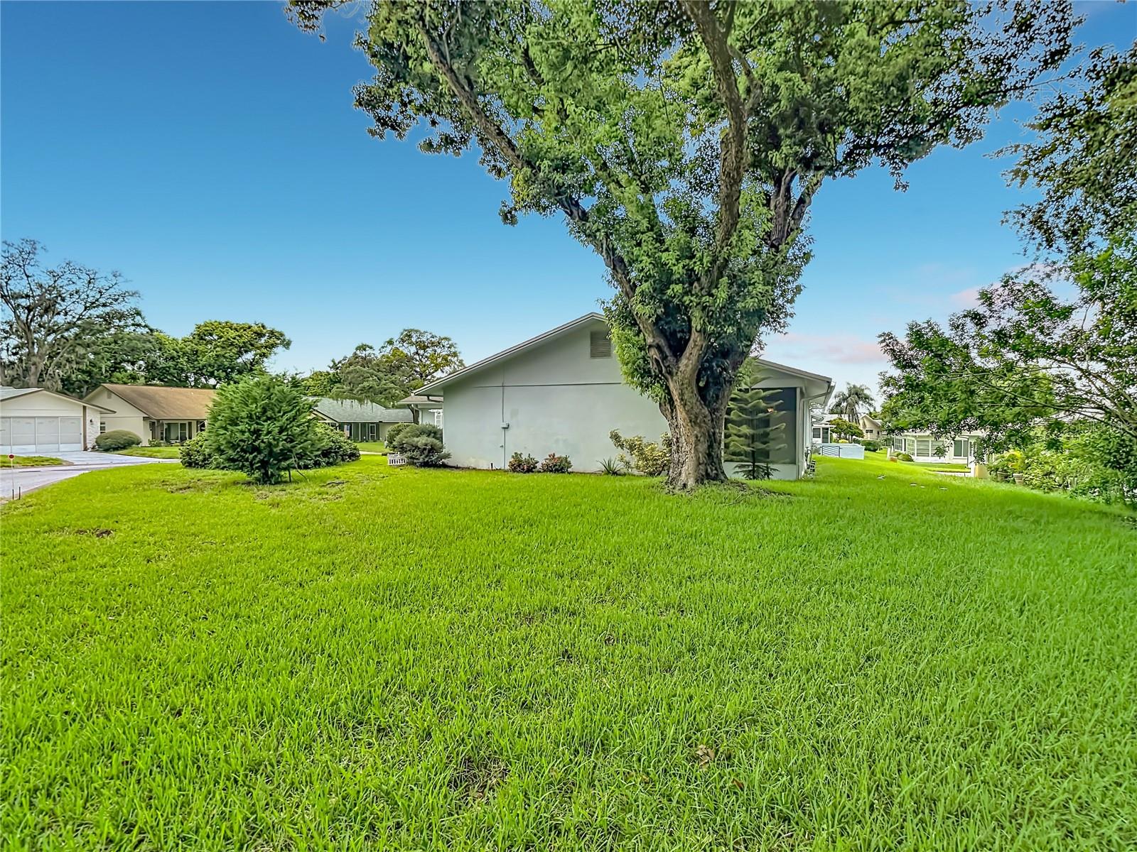 8045 PASADENA DR — photo 33