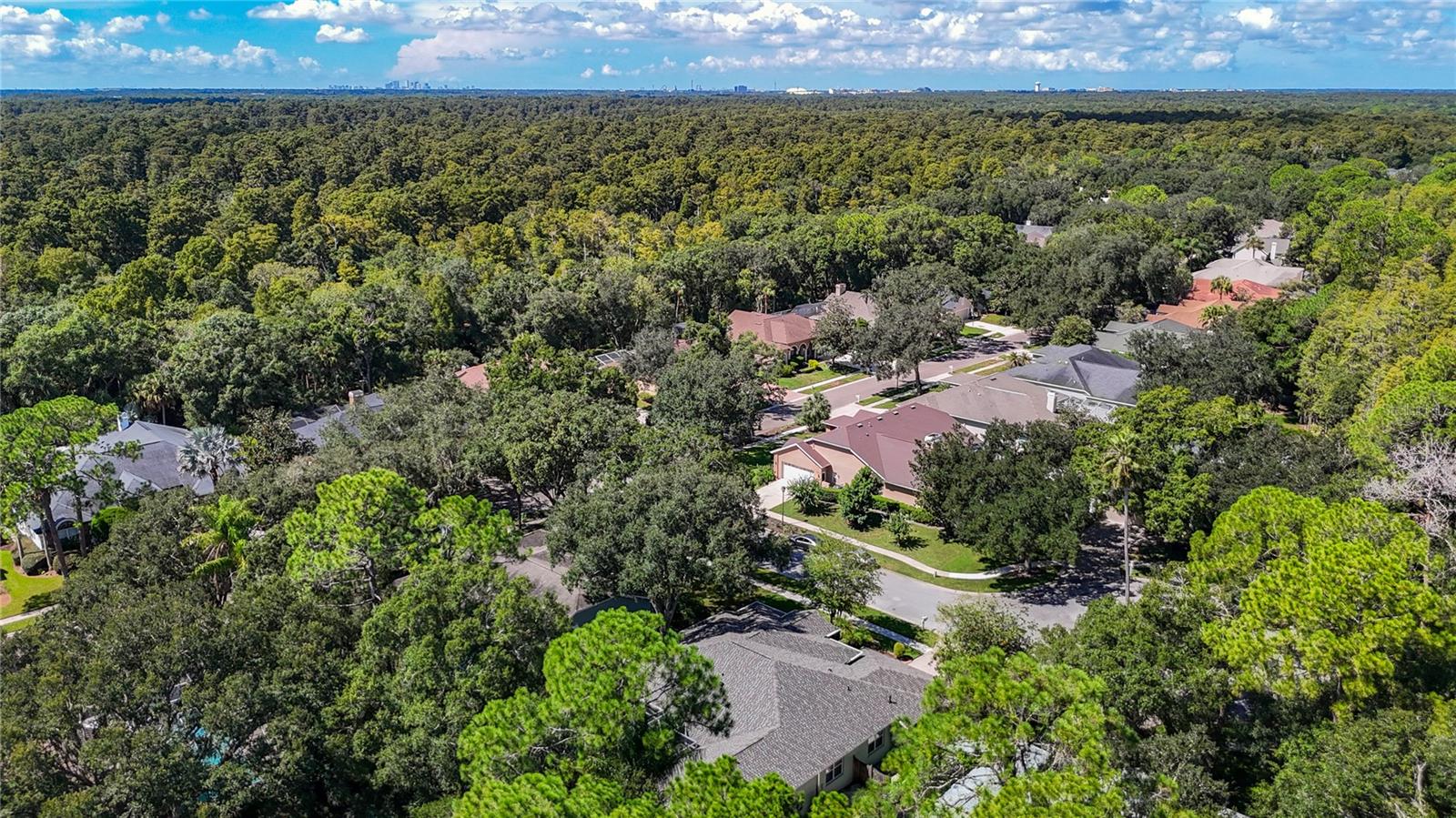 15903 BROCKWAY PL — photo 63