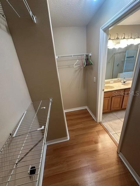 6547 BLACK MANGROVE DR — photo 12