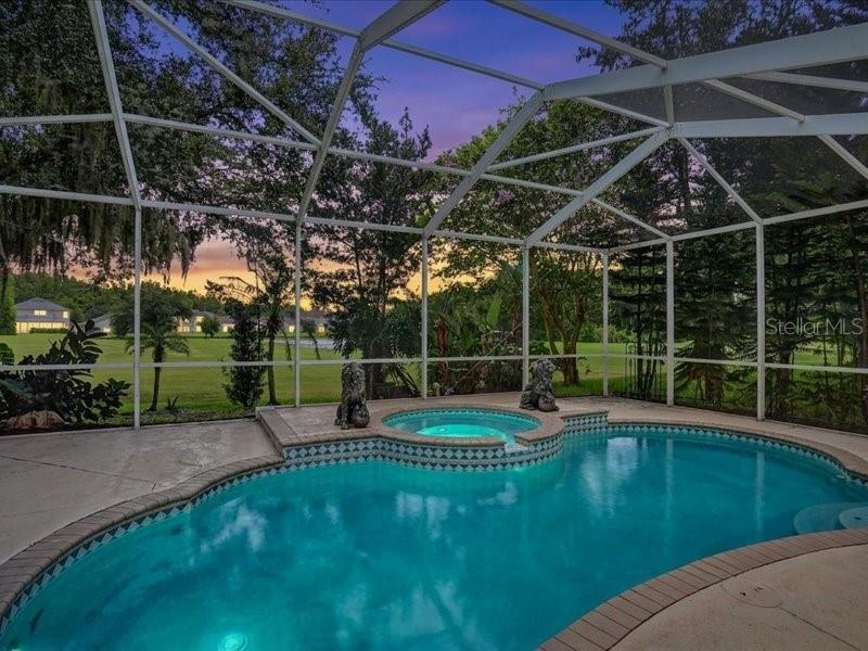 10420 LUCAYA DR — photo 35