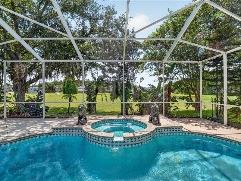 10420 LUCAYA DR — photo 36