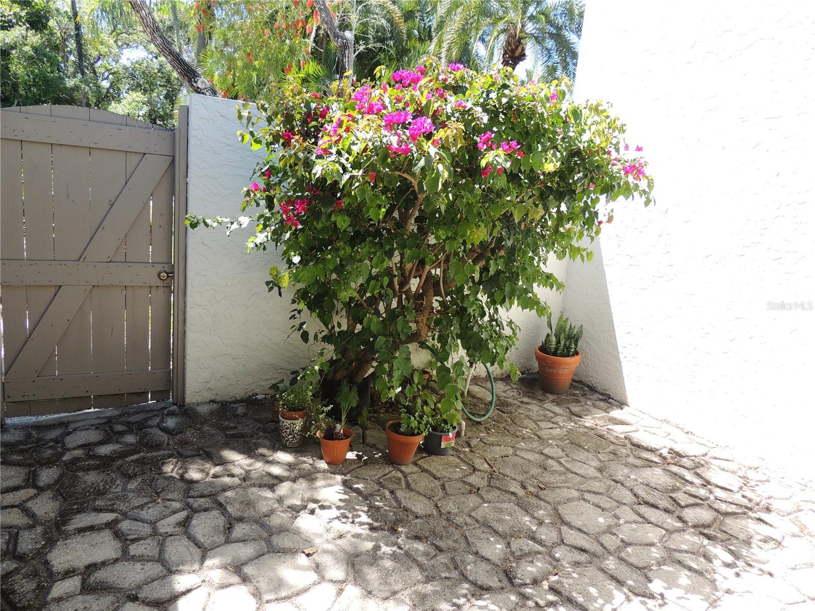 324 TIMBERLAKE DR #324 — photo 20