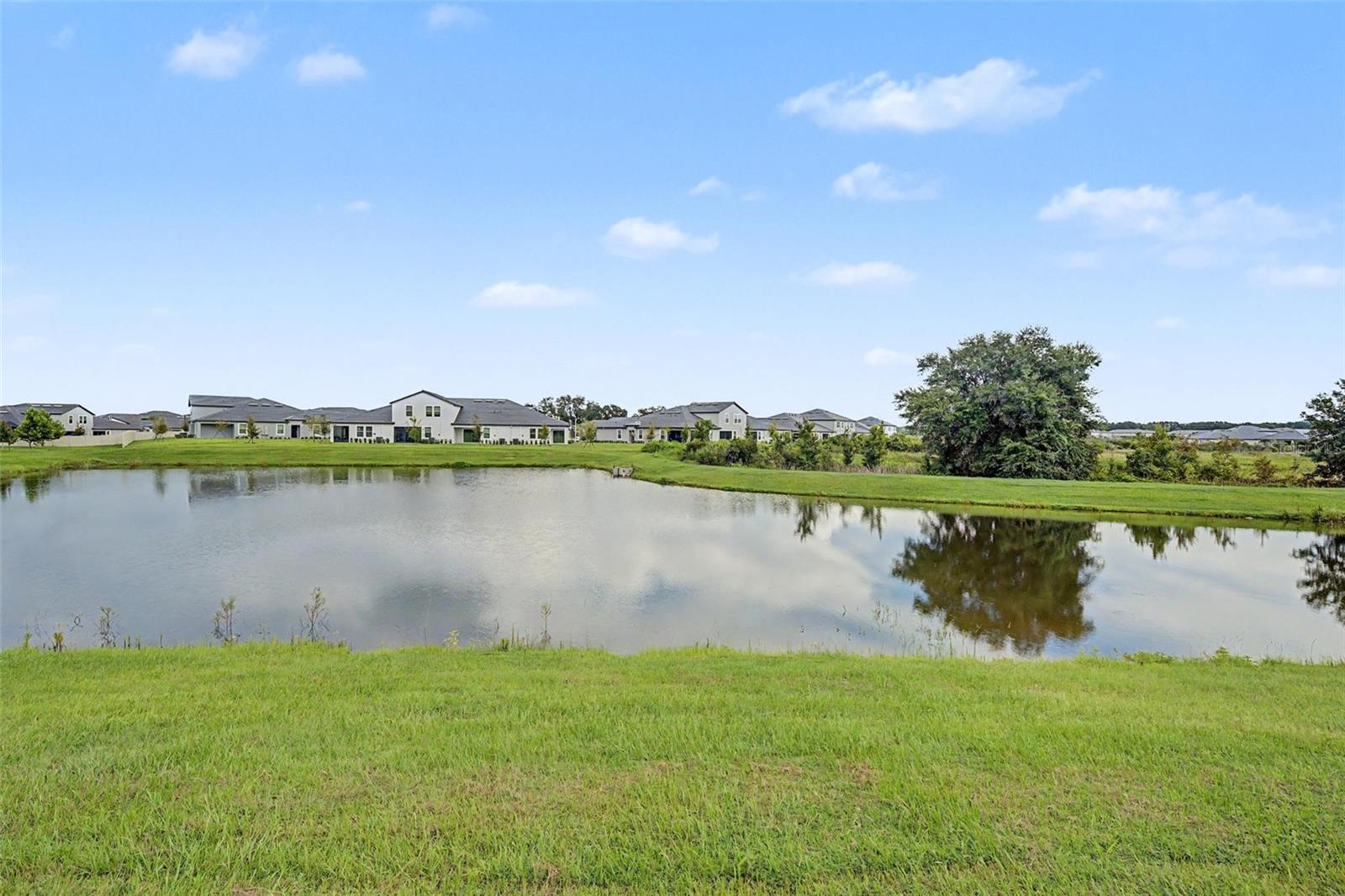 31727 CARDINAL YARD DR — photo 35