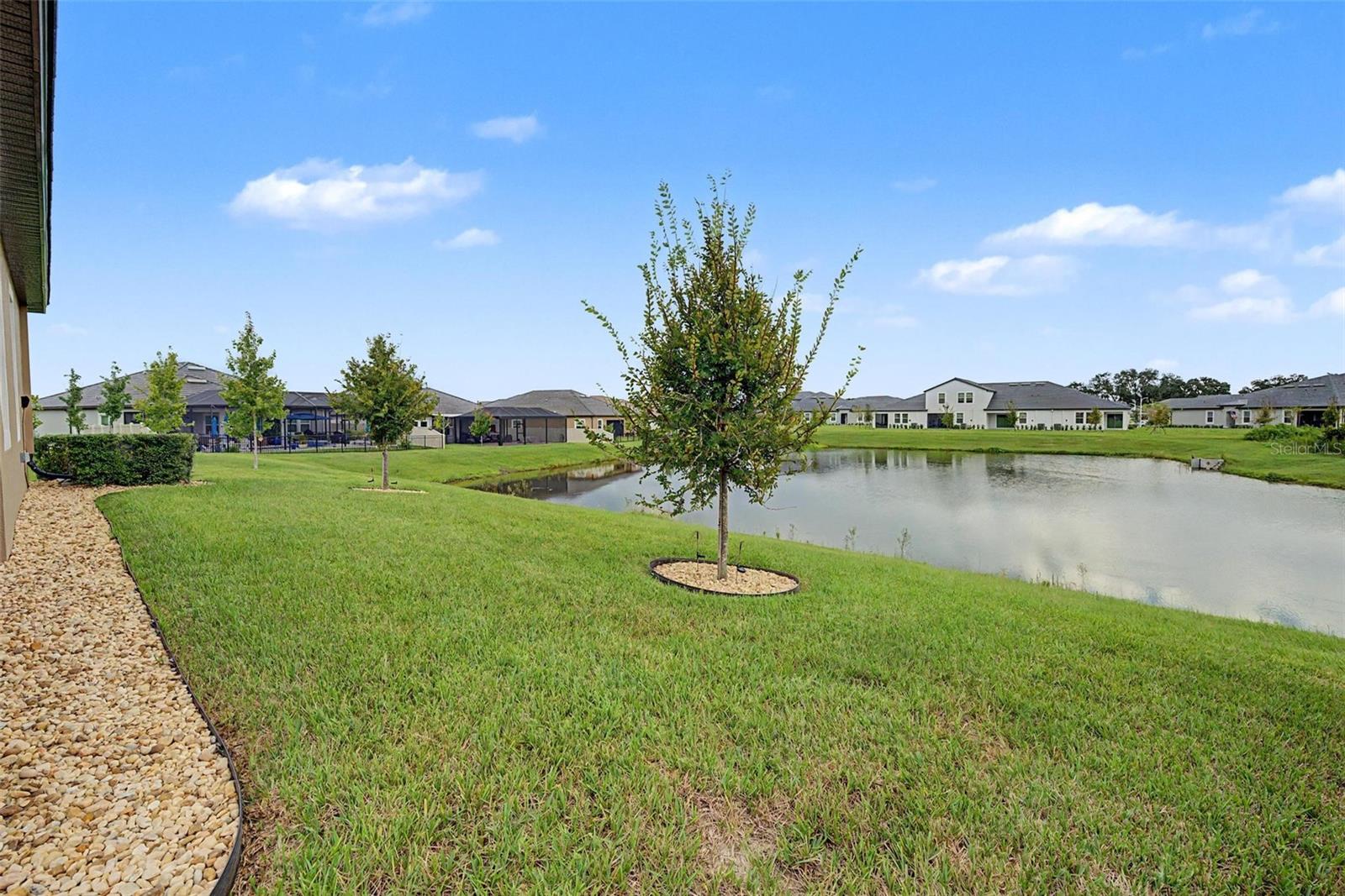 31727 CARDINAL YARD DR — photo 34