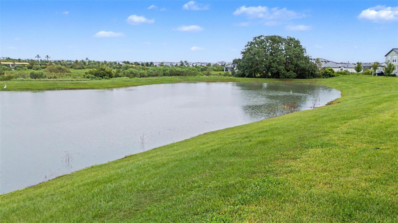32172 CANNON RUSH DR — photo 29
