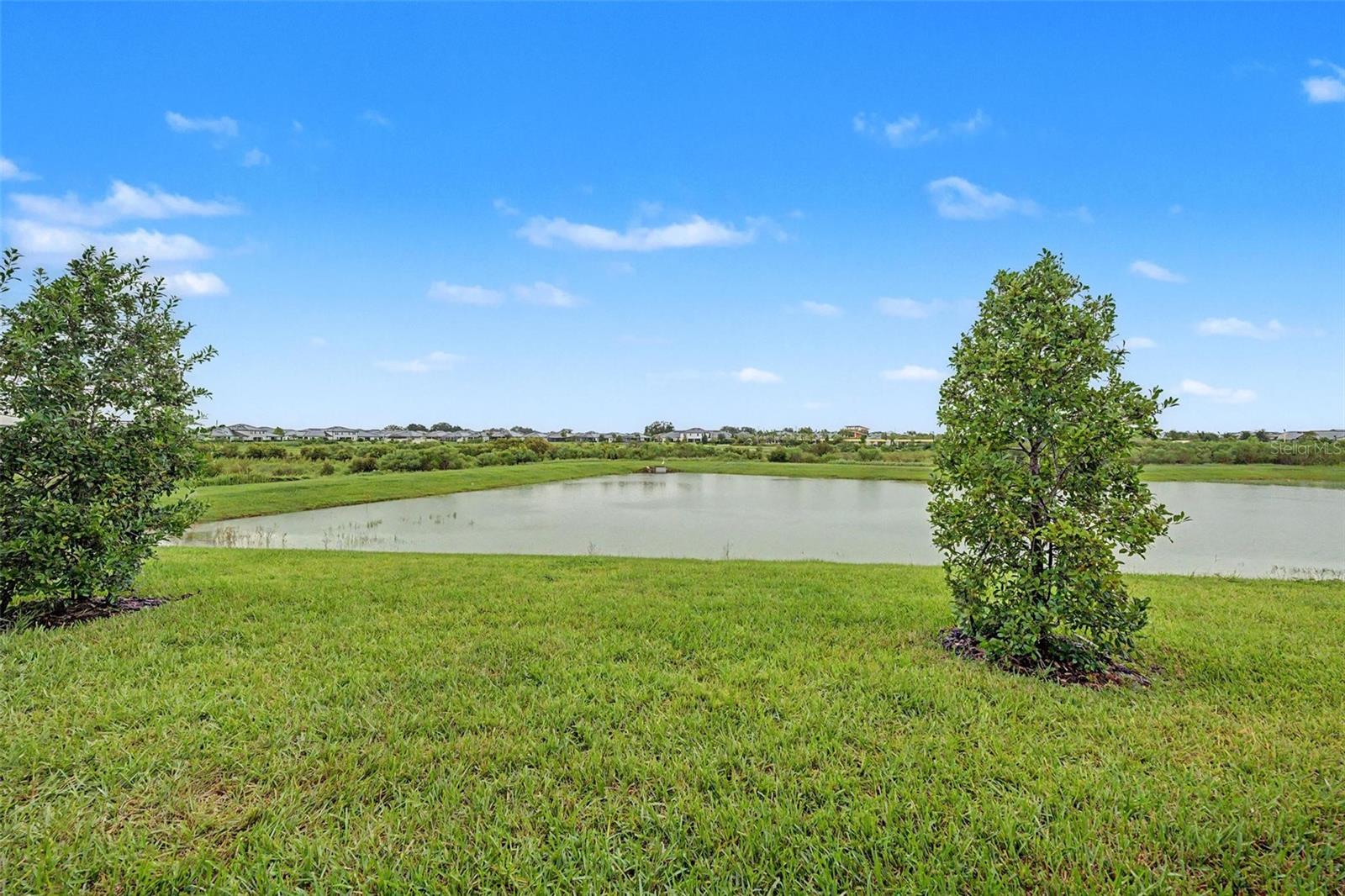 32172 CANNON RUSH DR — photo 3